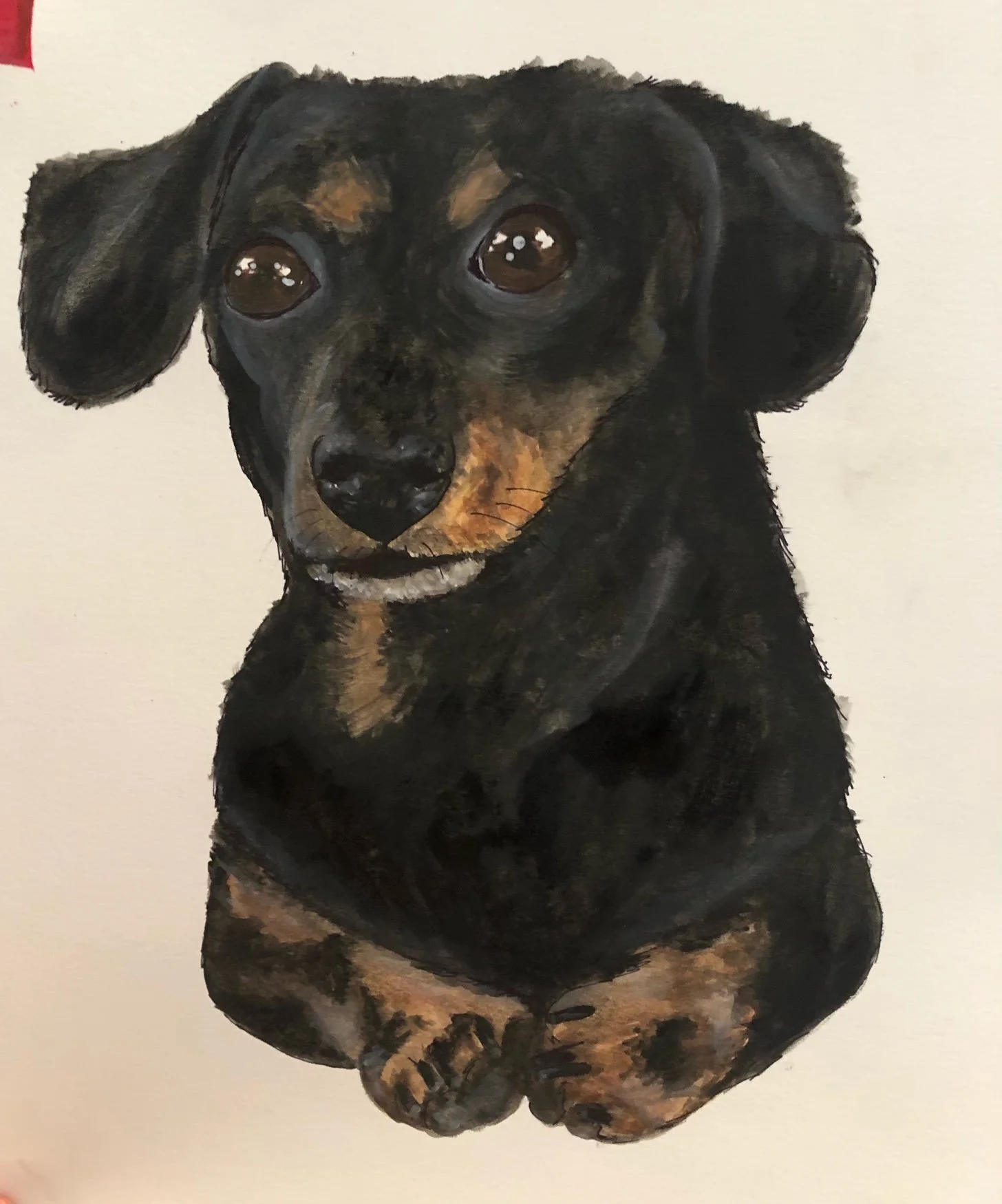 dog portrait painting