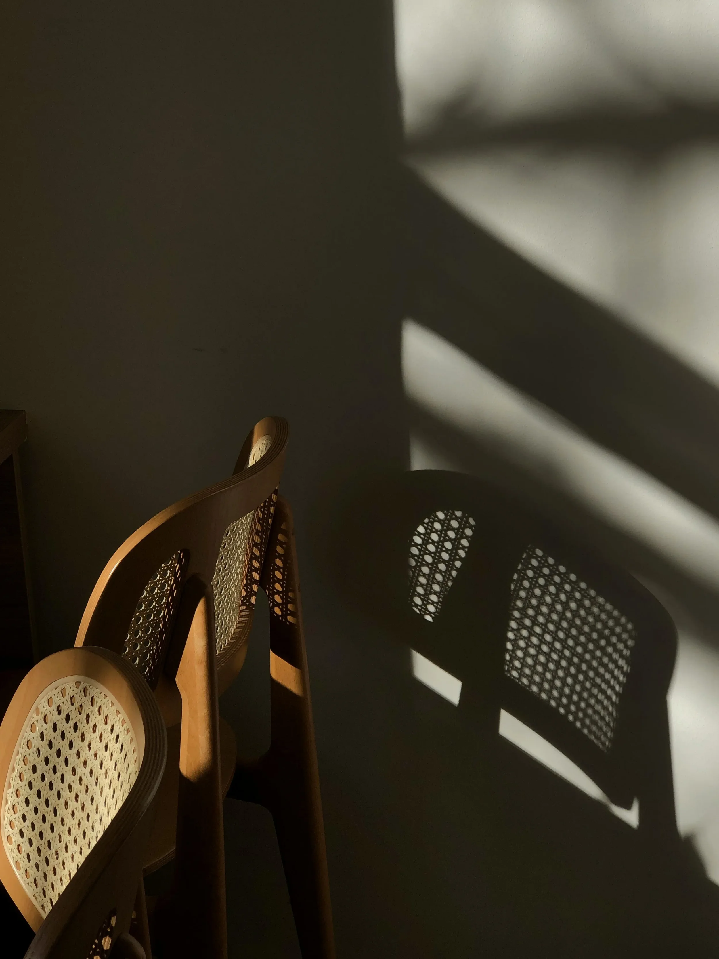  Radical Inclusivity Over Corporate Politics  Everyone belongs at the leadership table, regardless of background or identity. We stand against narrow-mindedness and old boys' club mentalities that keep diverse voices out of positions of influence. Tr