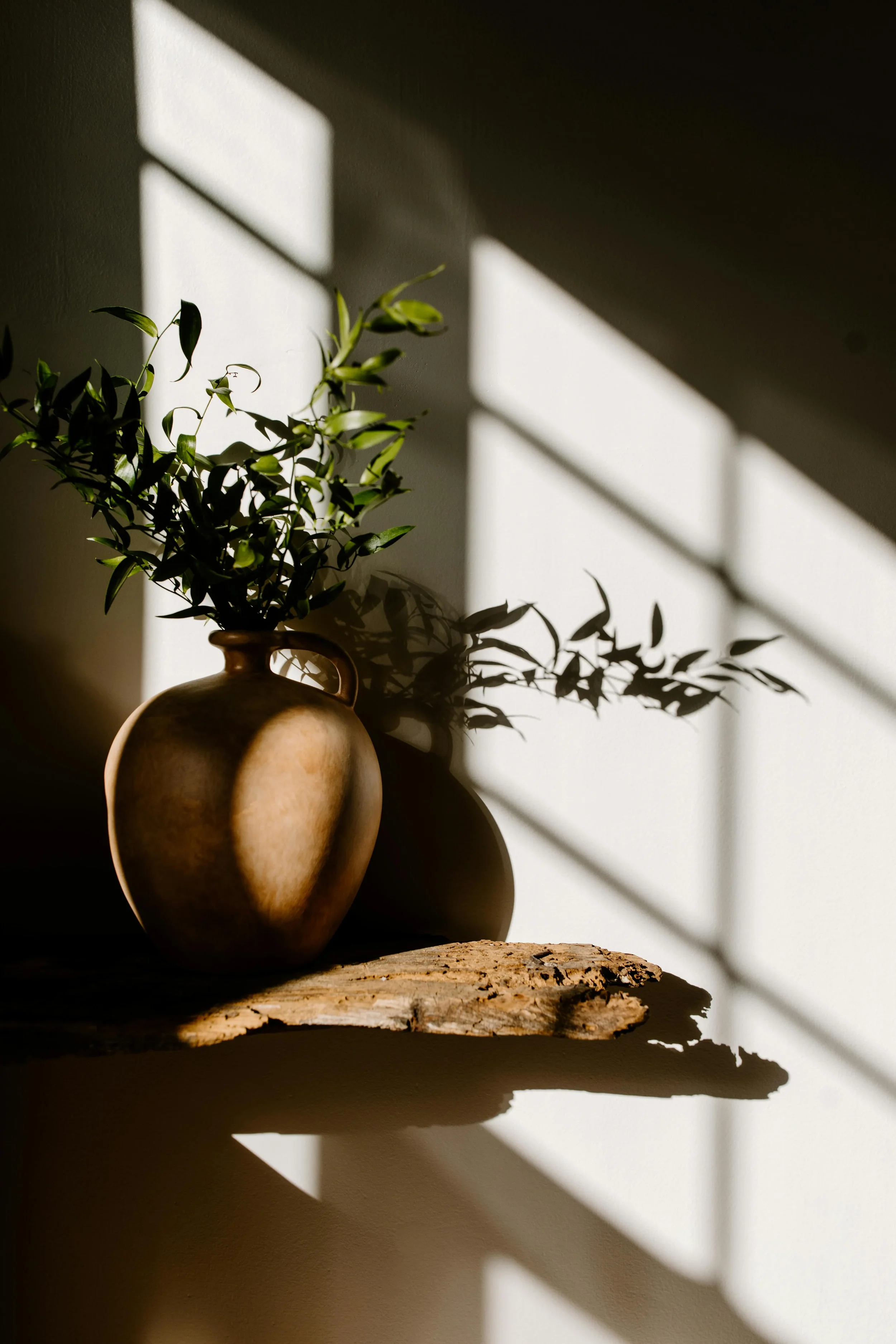 A ceramic vase with green leafy branches on a wooden shelf, with sunlight creating diagonal shadow lines on the wall behind.