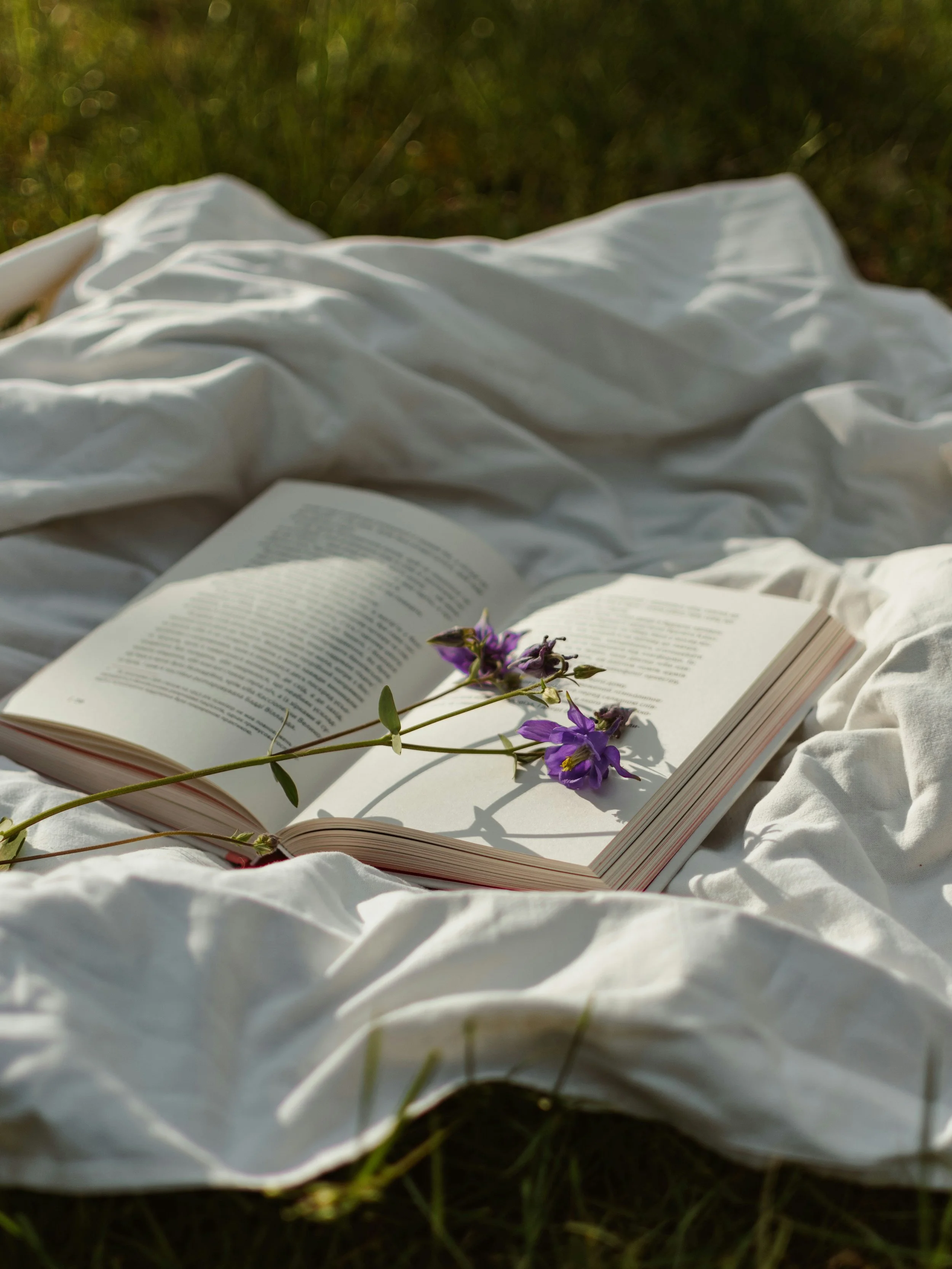 What is Naturopathic Medicine?