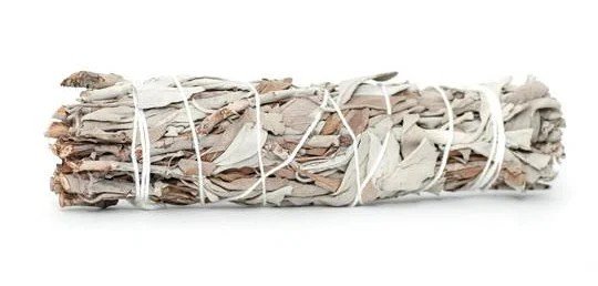 White Sage Smudge Bundle 3-4" - Cleansing & Energy Clearing