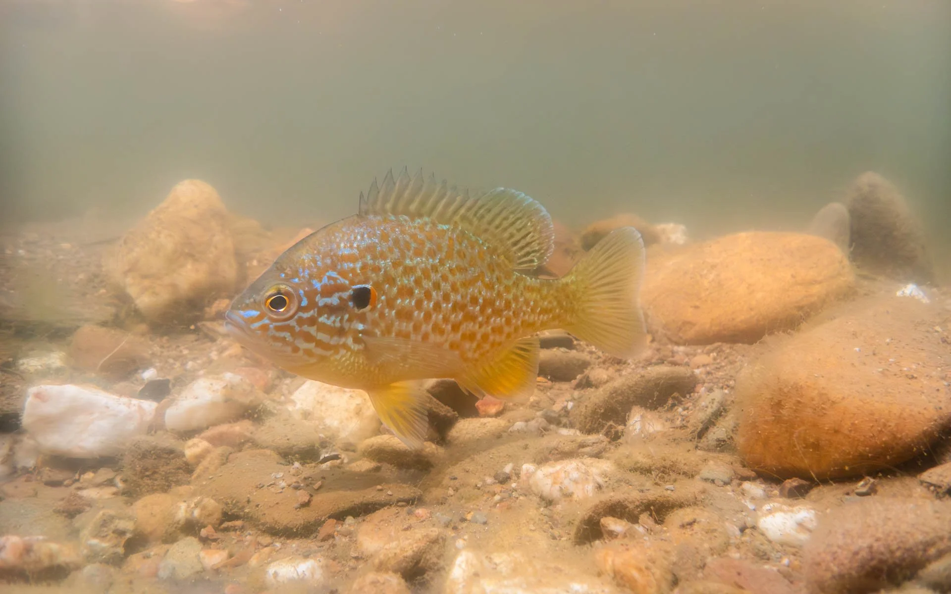20260420-P4202100.jpg