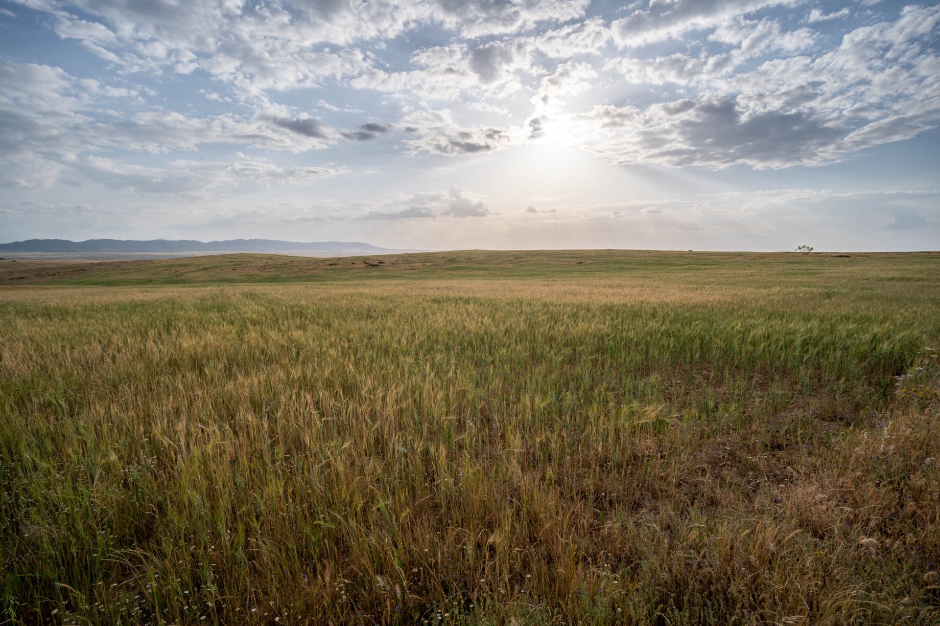 20260424-A7303955-HDR.jpg
