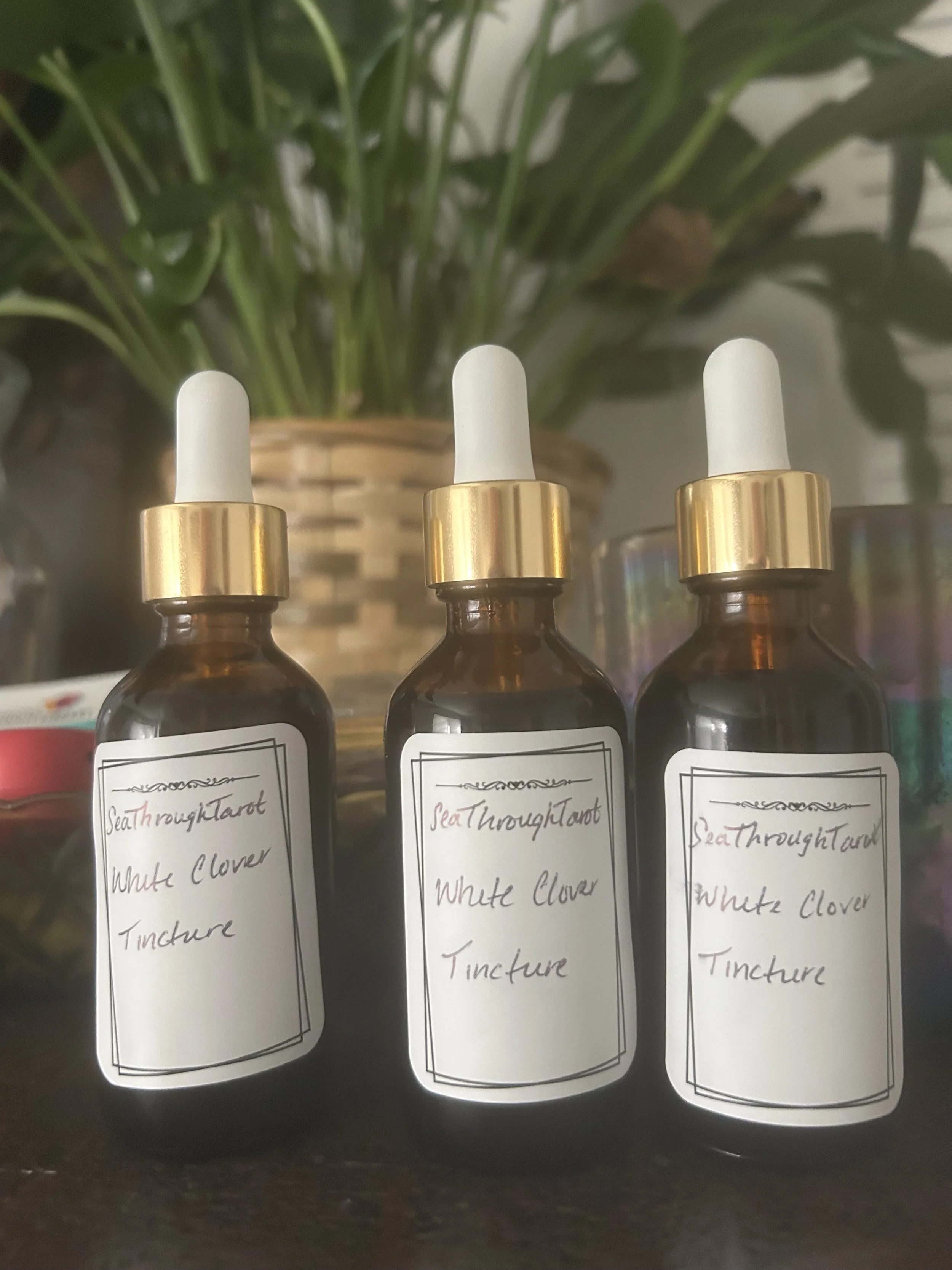 White Clover Tincture