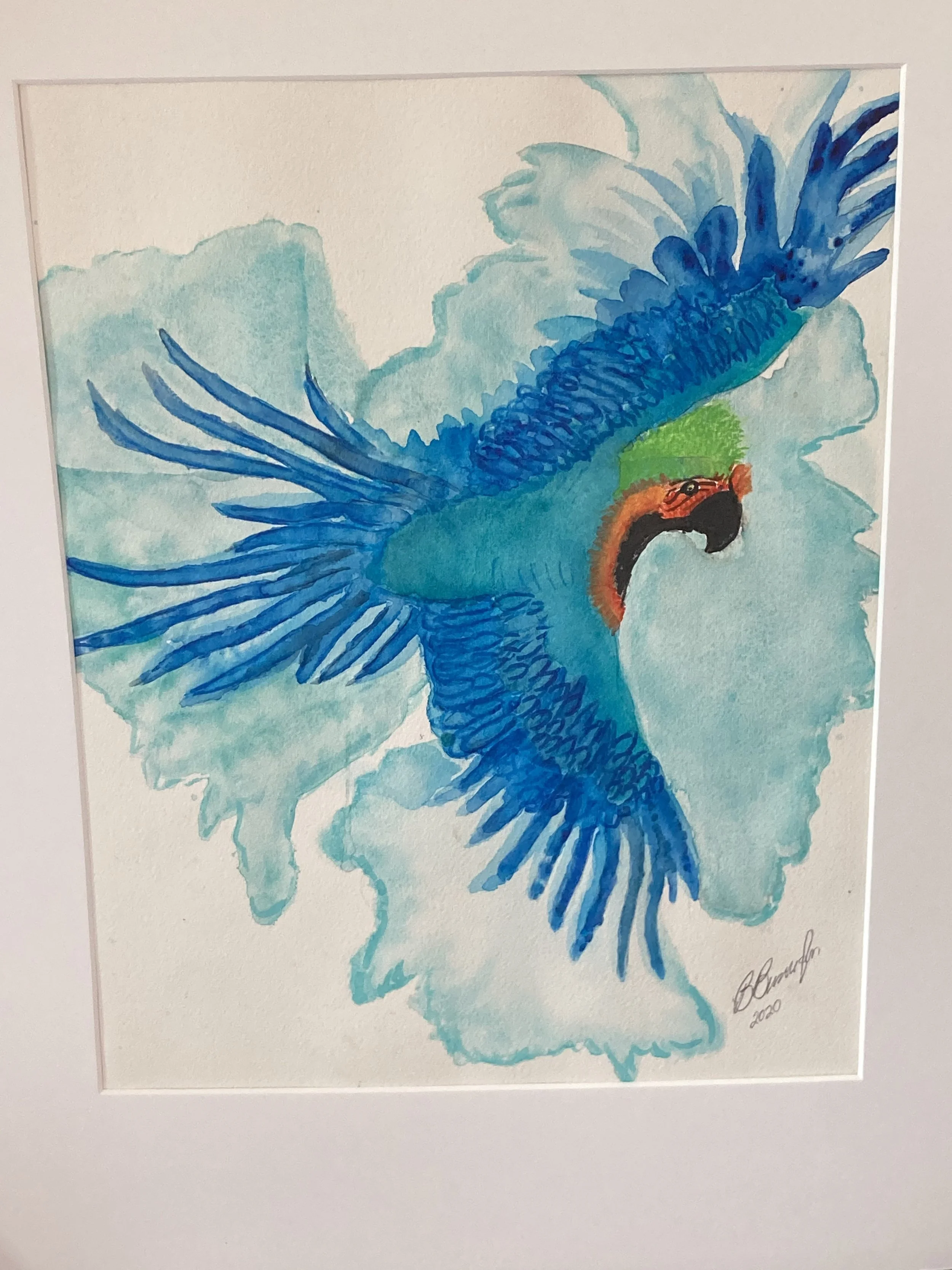 Blue Parrot.jpg