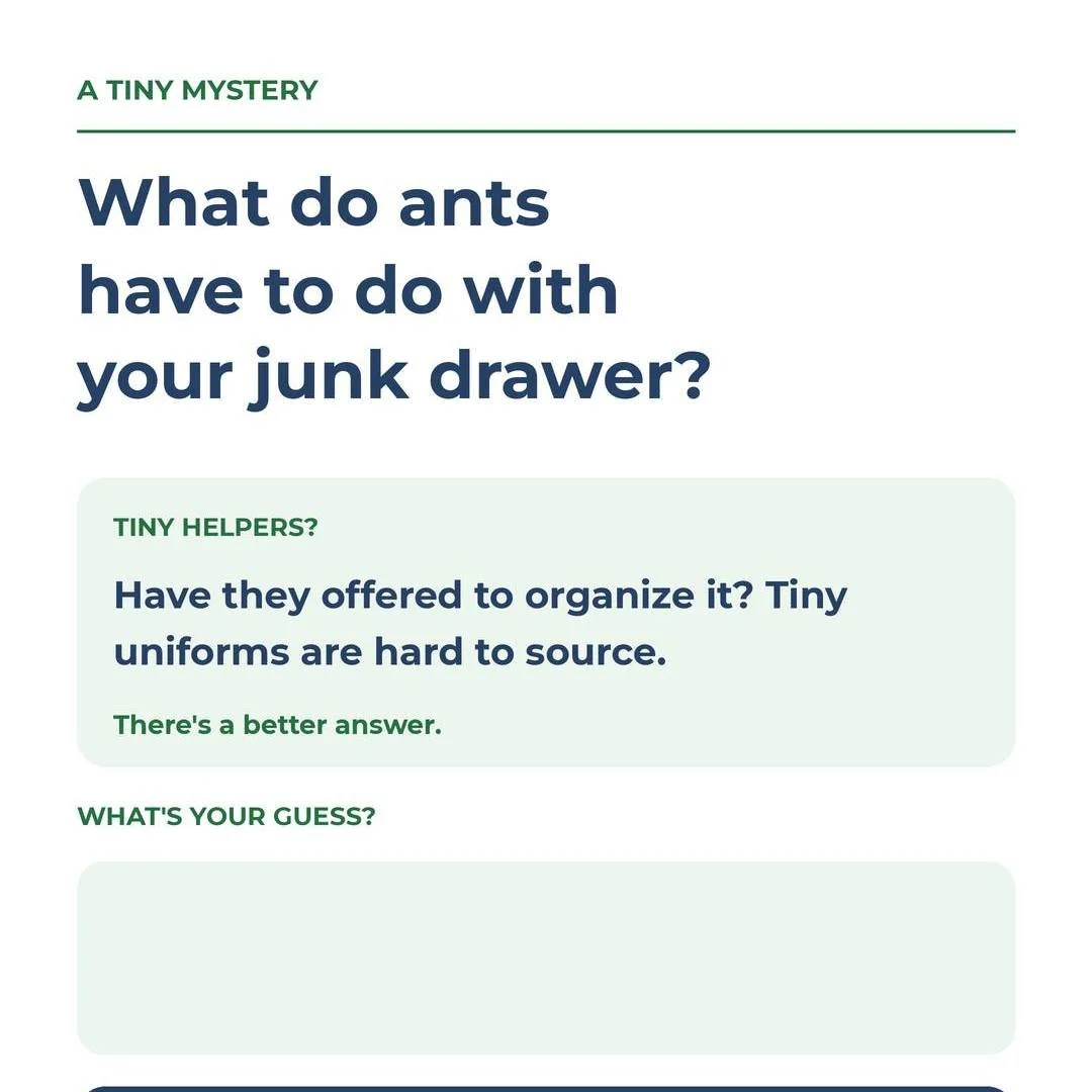 What do ants have to do with tidying? 🐜
Tiny steps. Big results.
Take a guess in the Story poll, then stay tuned for the reveal. No actual ants invited!