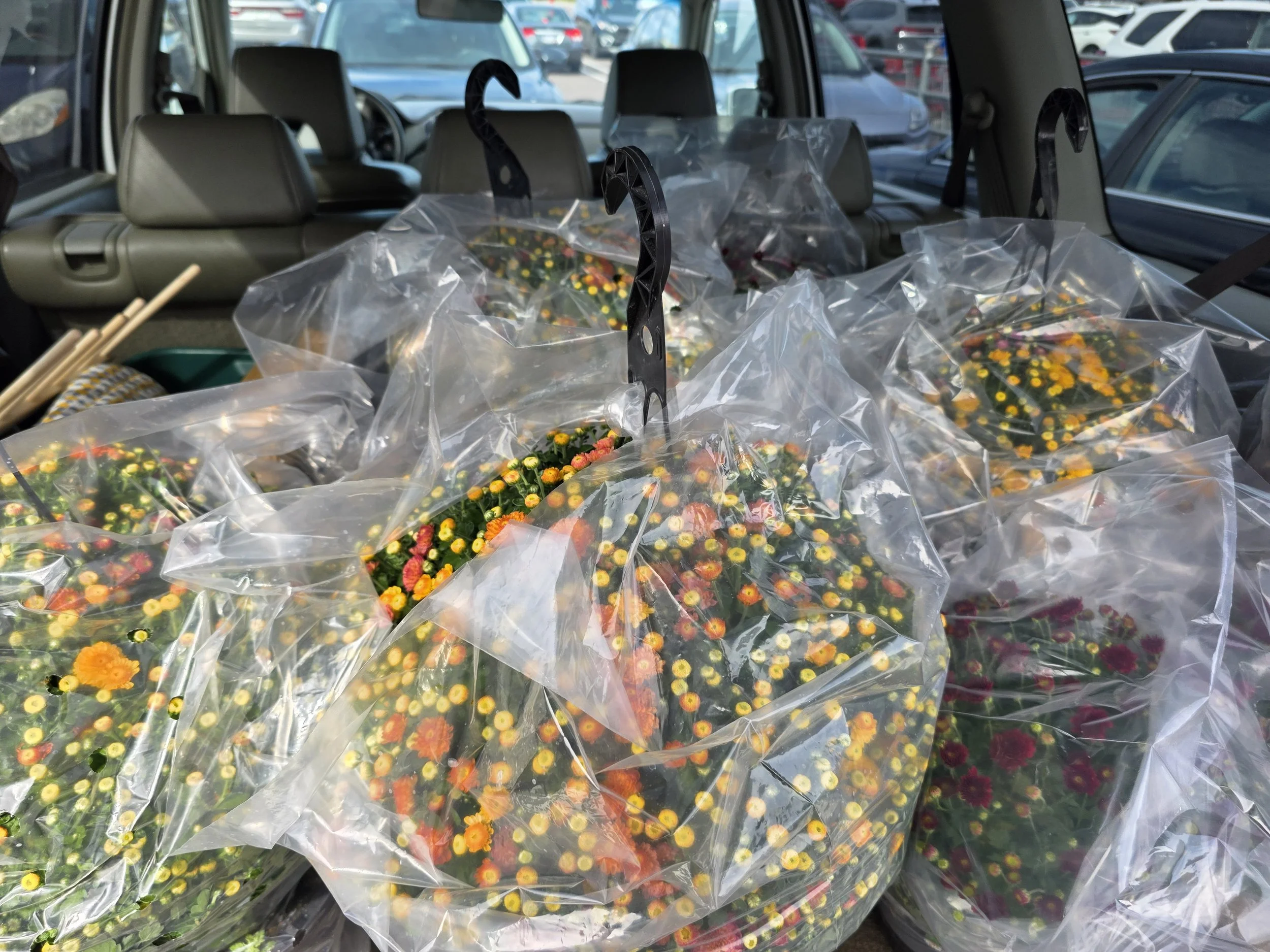 "Who Can Help With Errands In and Around Sioux Falls?"