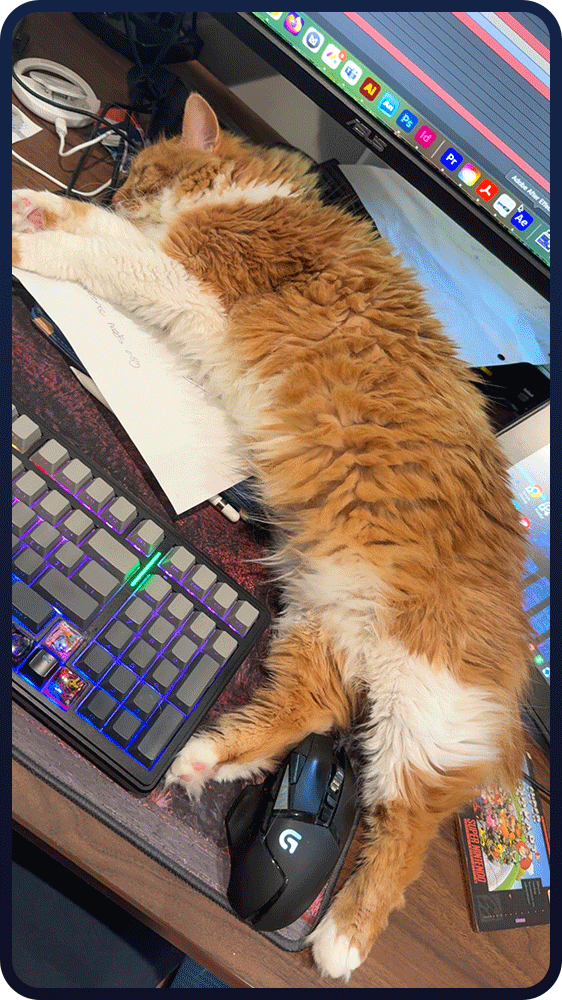 An orange and white cat sleeping on a cluttered desk with a computer monitor, a gaming keyboard, and a mouse.