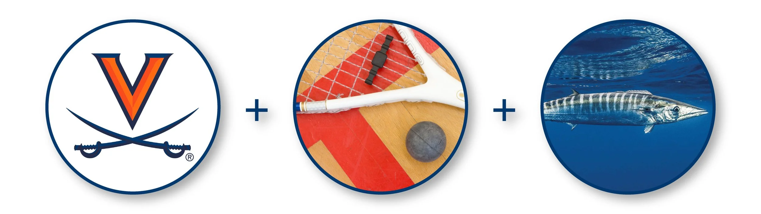 Wahoo Portfolio-01.jpg