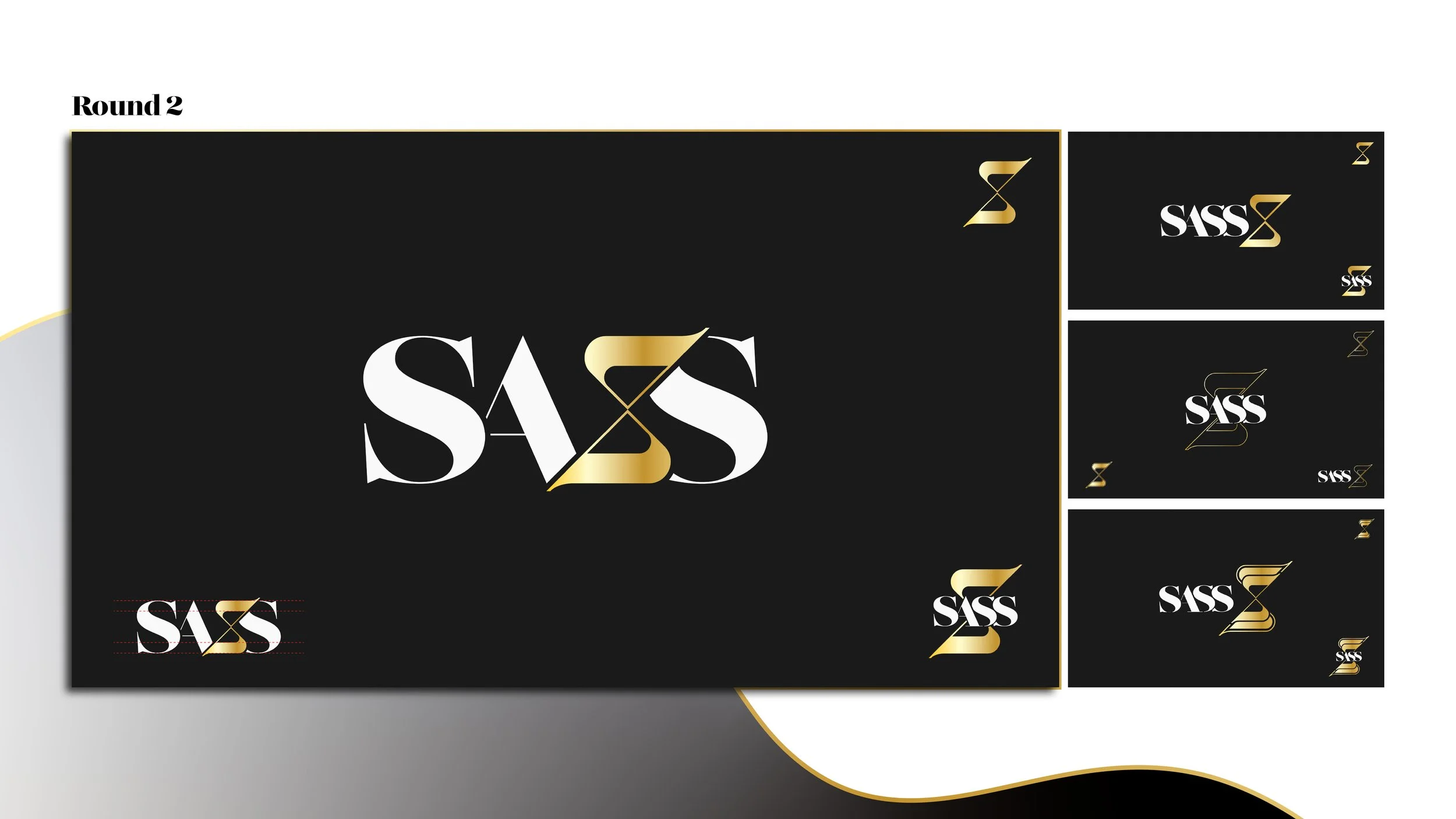 SASS Portfolio- 2.jpg