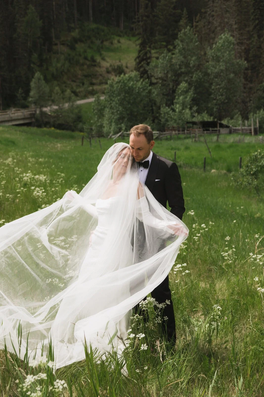 A bride and groom standing in a grassy field with wildflowers, with trees and a forested hillside in the background. The bride is wearing a wedding dress and veil, and the groom is dressed in a black tuxedo. They are holding the bride's flowing veil together.