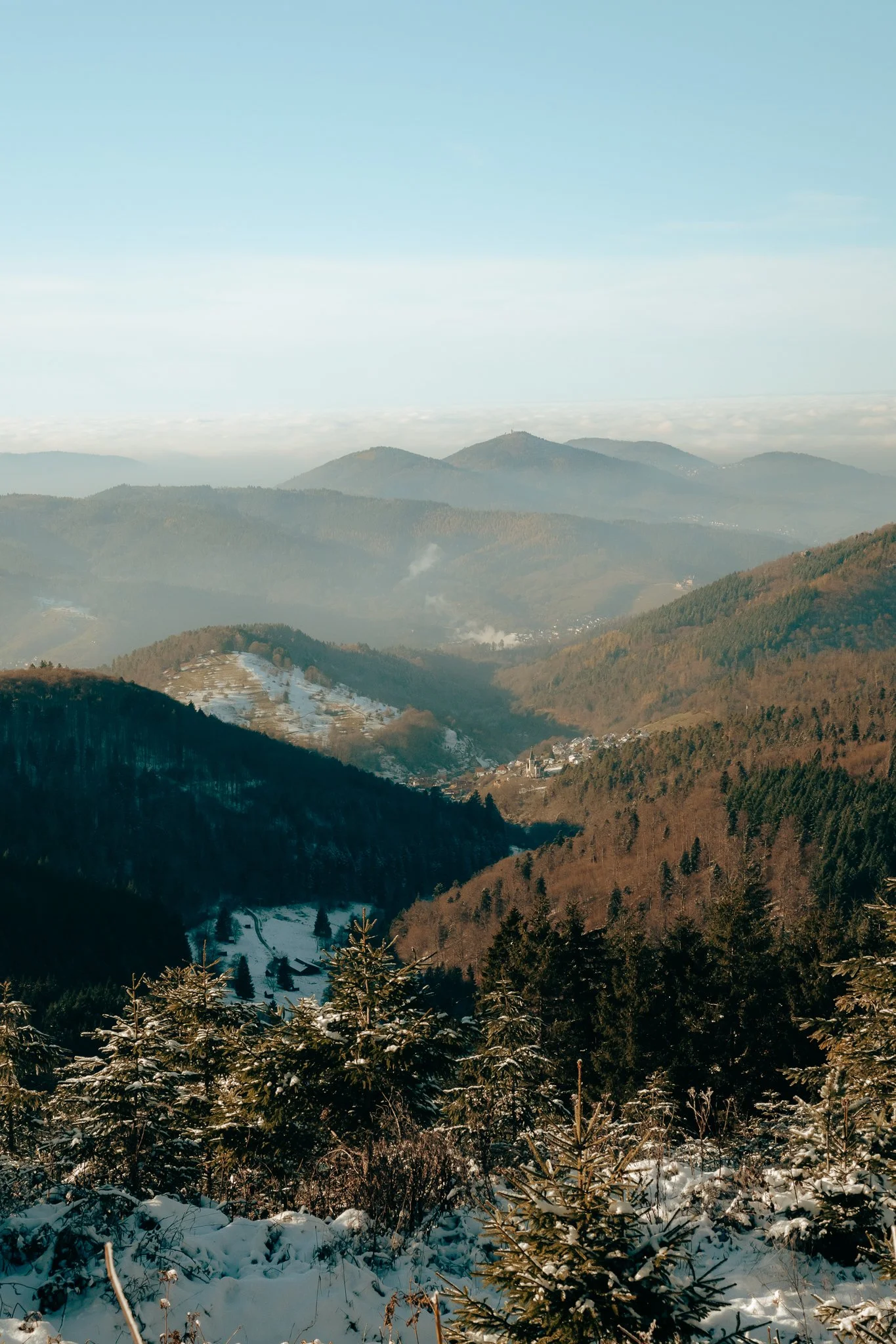 Hannes_Camper_Schwarzwald_web (27 of 59).jpg