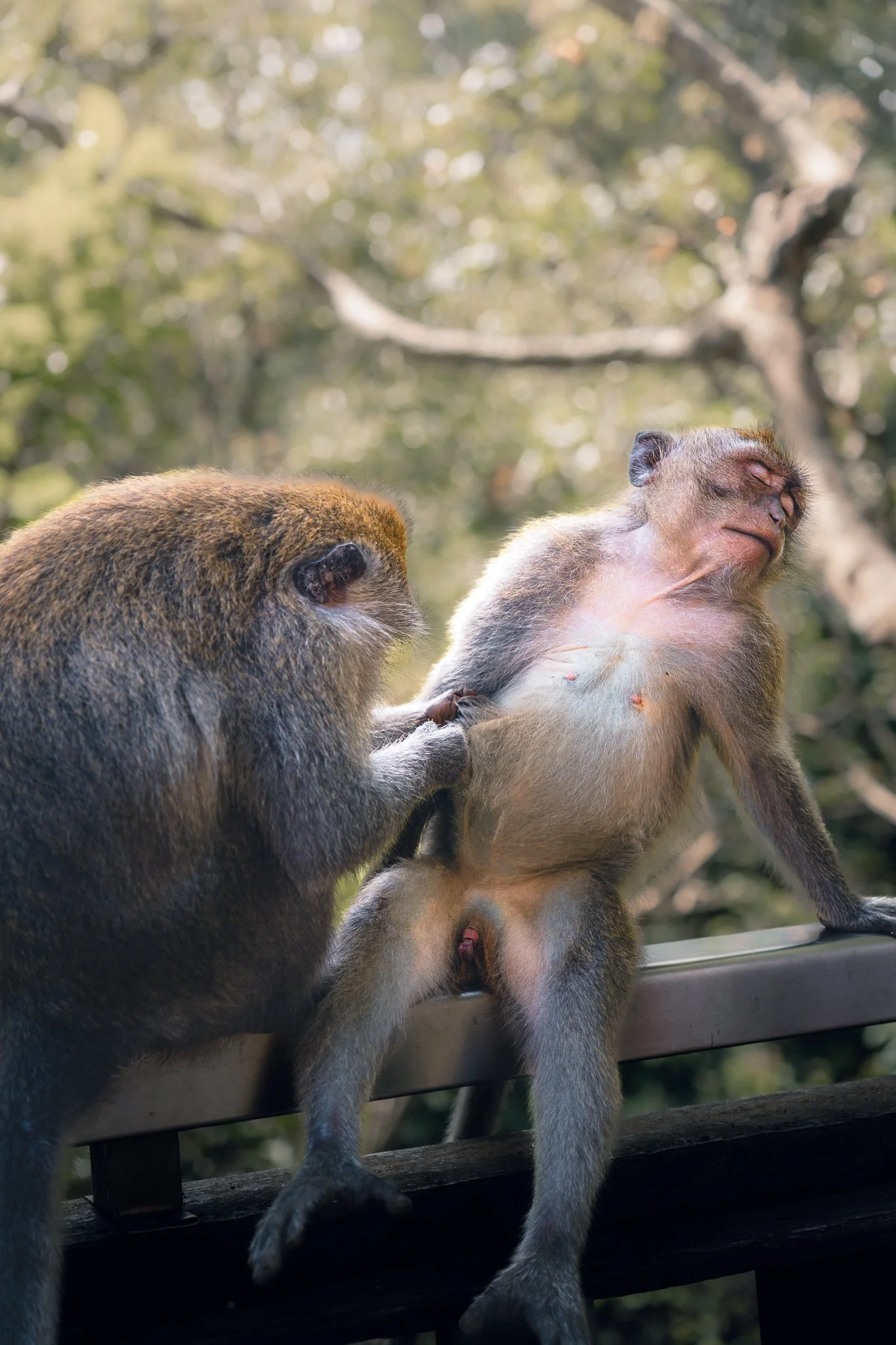 _A671167.jpg