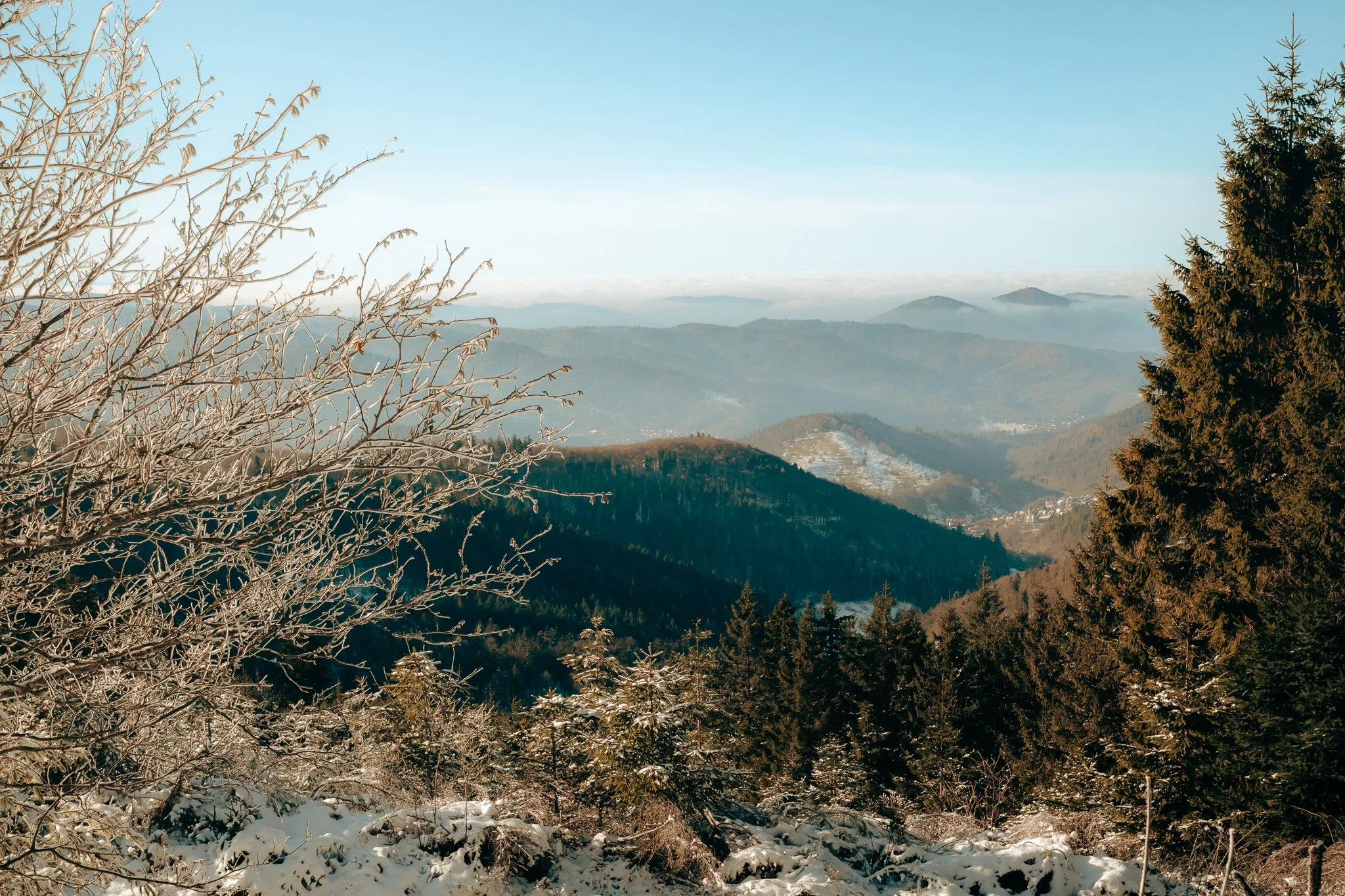 Hannes_Camper_Schwarzwald_web (24 of 59).jpg