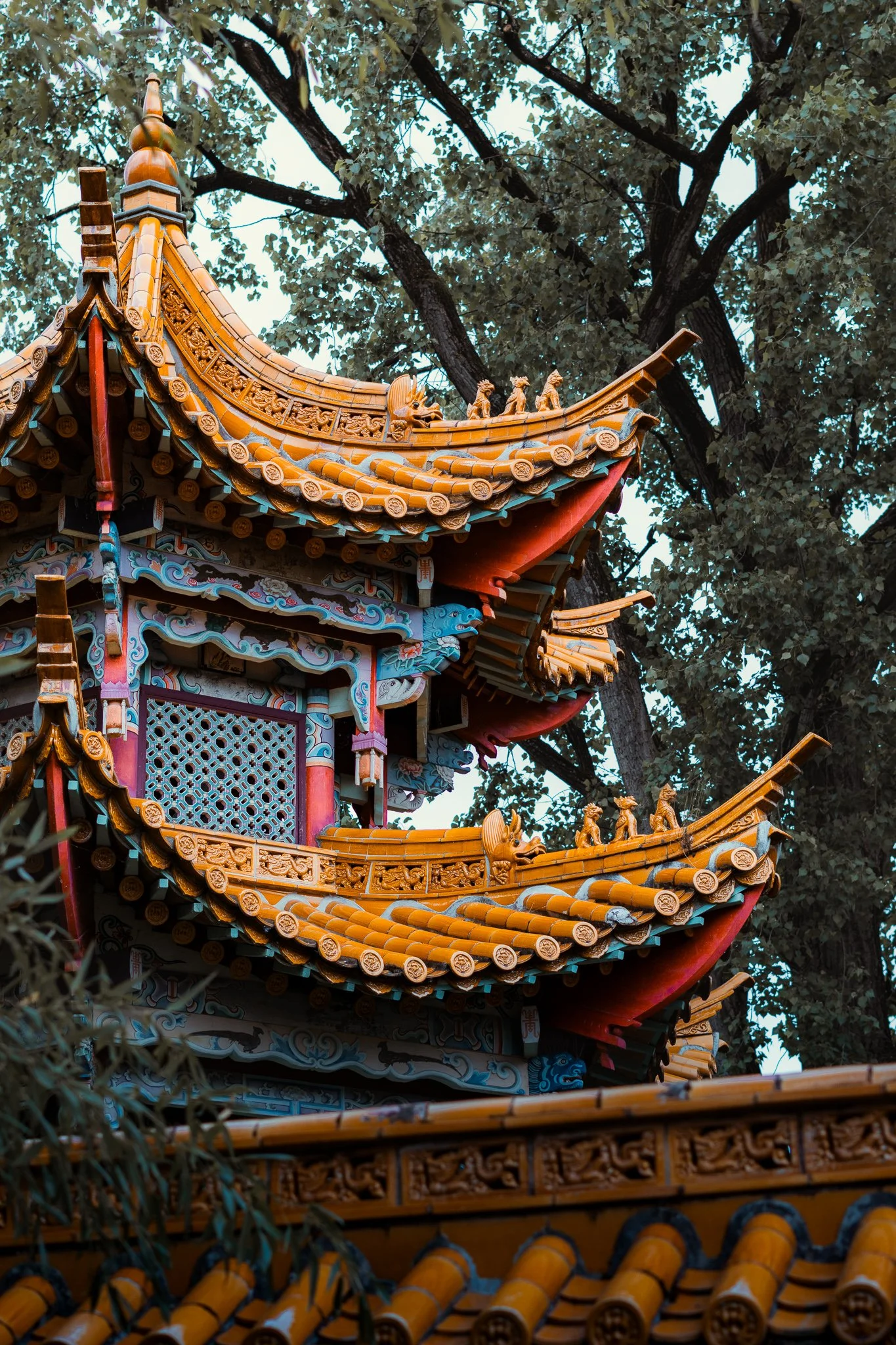 Urban_portfolio (4 of 17).jpg