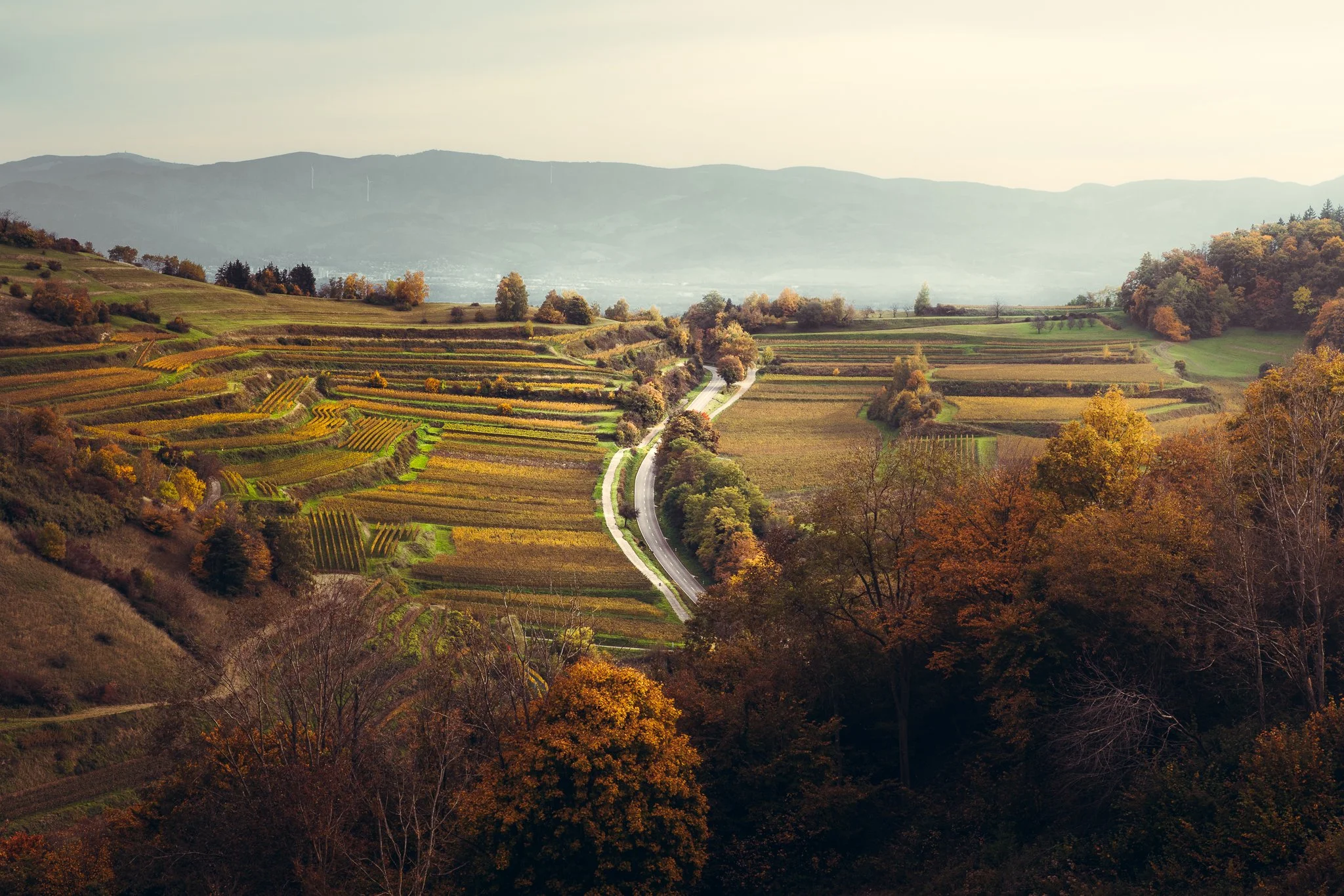 outdoor_portfolio (3 of 3).jpg