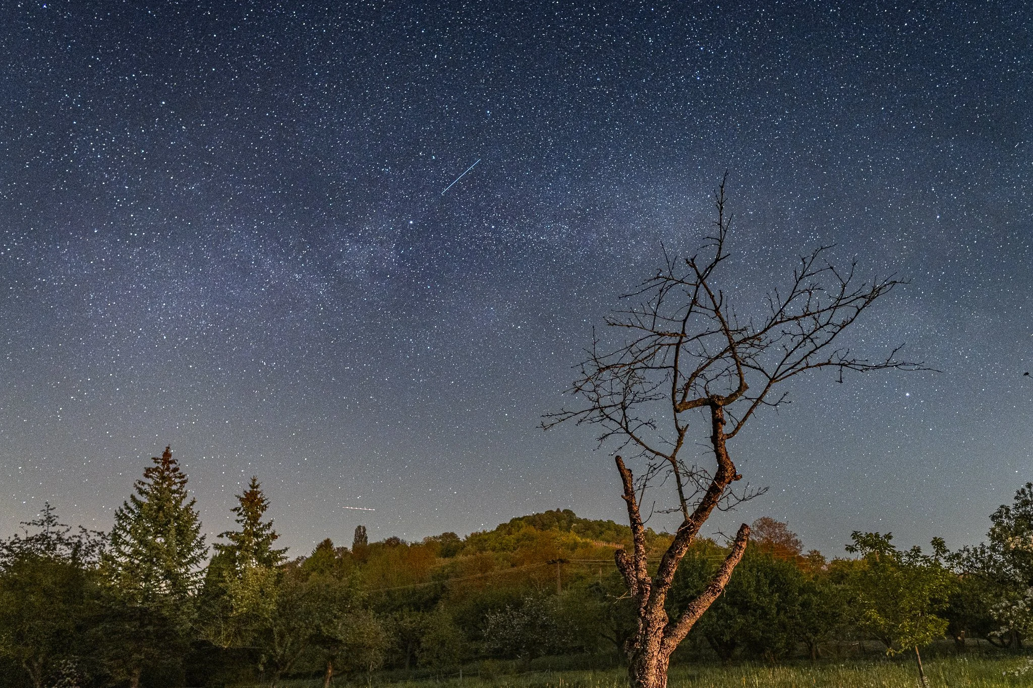 outdoor_portfolio (1 of 3).jpg