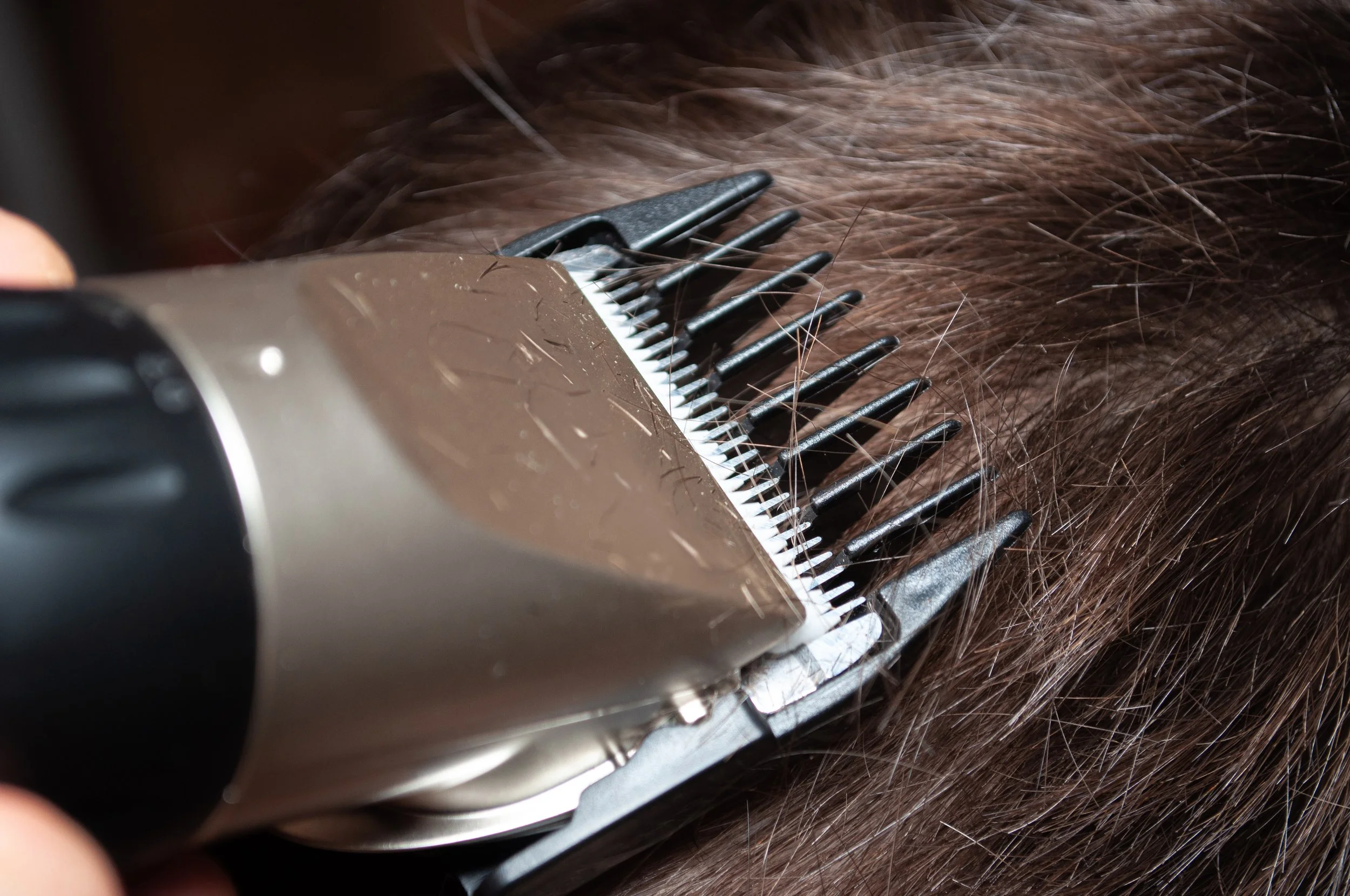 A close-up photo of a pair of clippers cutting straight brown hair.