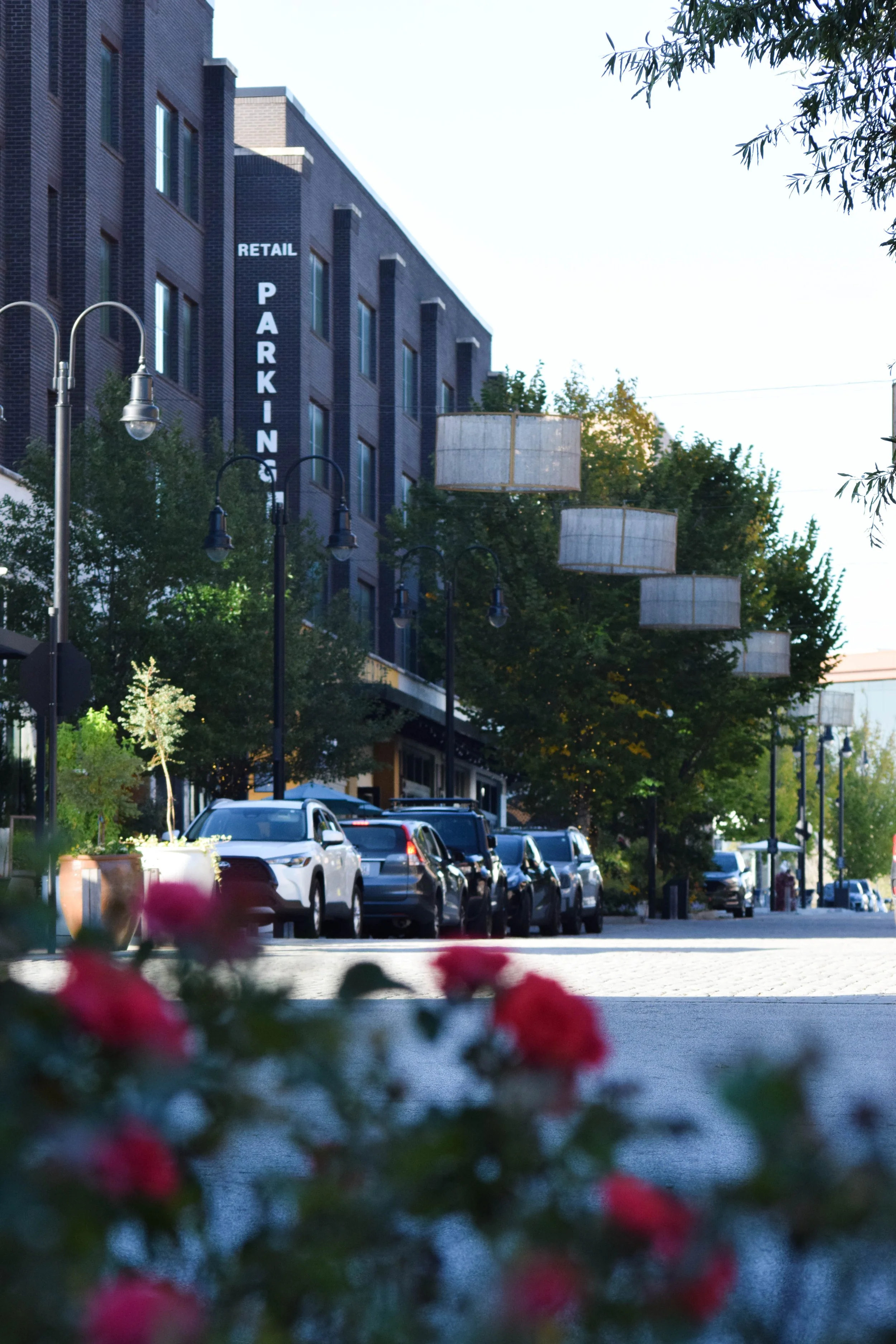 A street scene in an urban area with parked cars, trees, and streetlights, featuring a building with a sign that reads 'RETAIL PARKING' and decorative hanging lights.