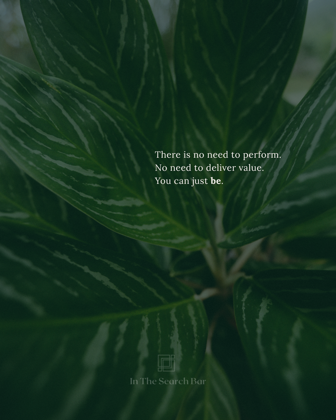 Close-up of deep green leaves with soft natural light. Centered text reads: ‘There is no need to perform. No need to deliver value. You can just be.’