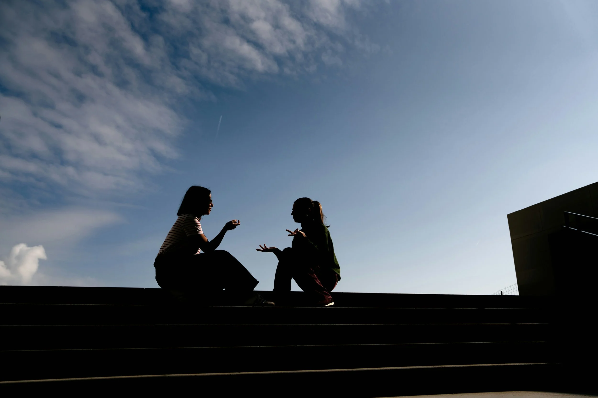 Two people silhouetted against a sunset sky in conversation, showing over-explaining and suppression in relationship