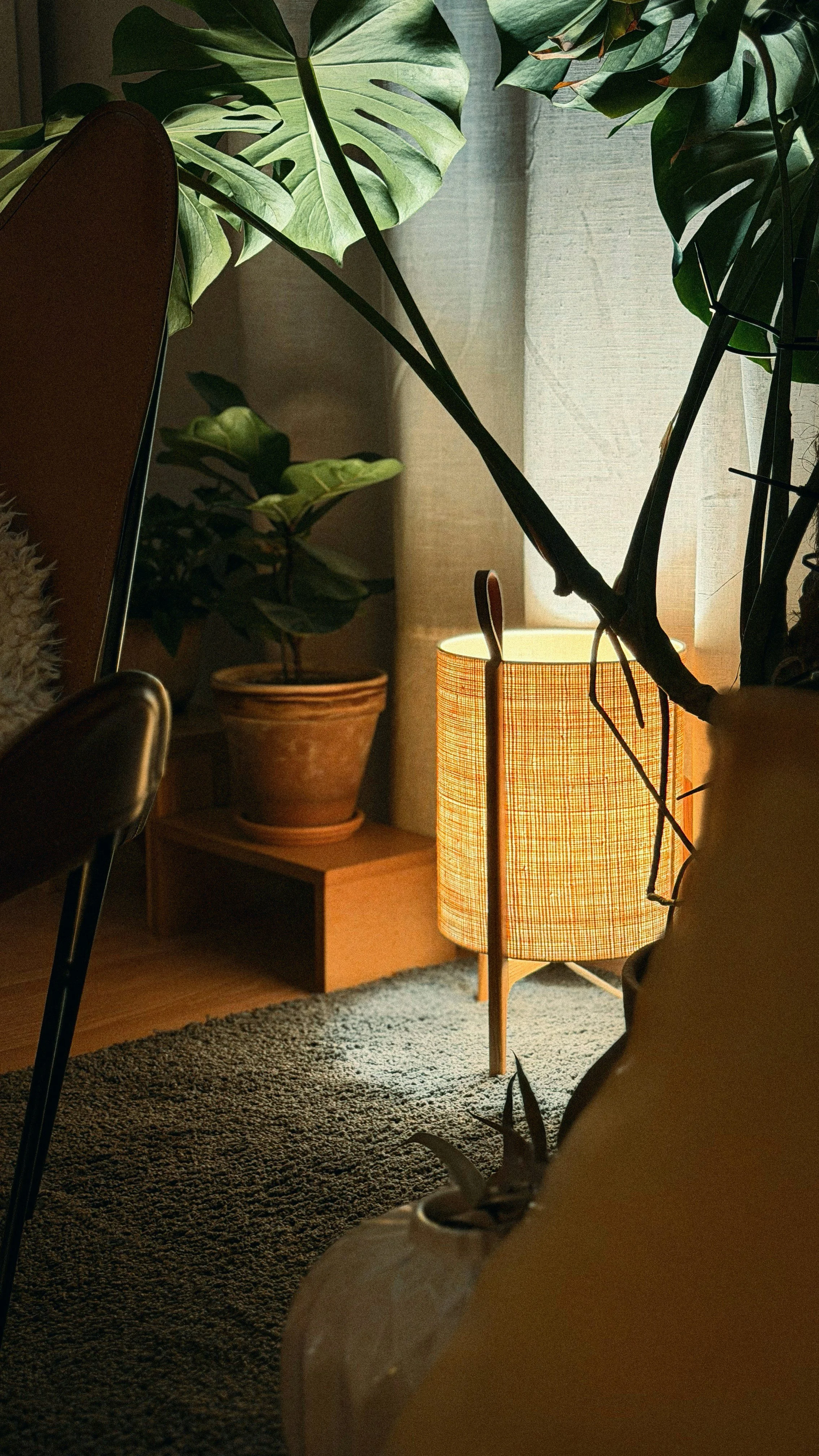 Warm cozy room with tropical plants and a rattan lamp, evoking a grounded somatic session space