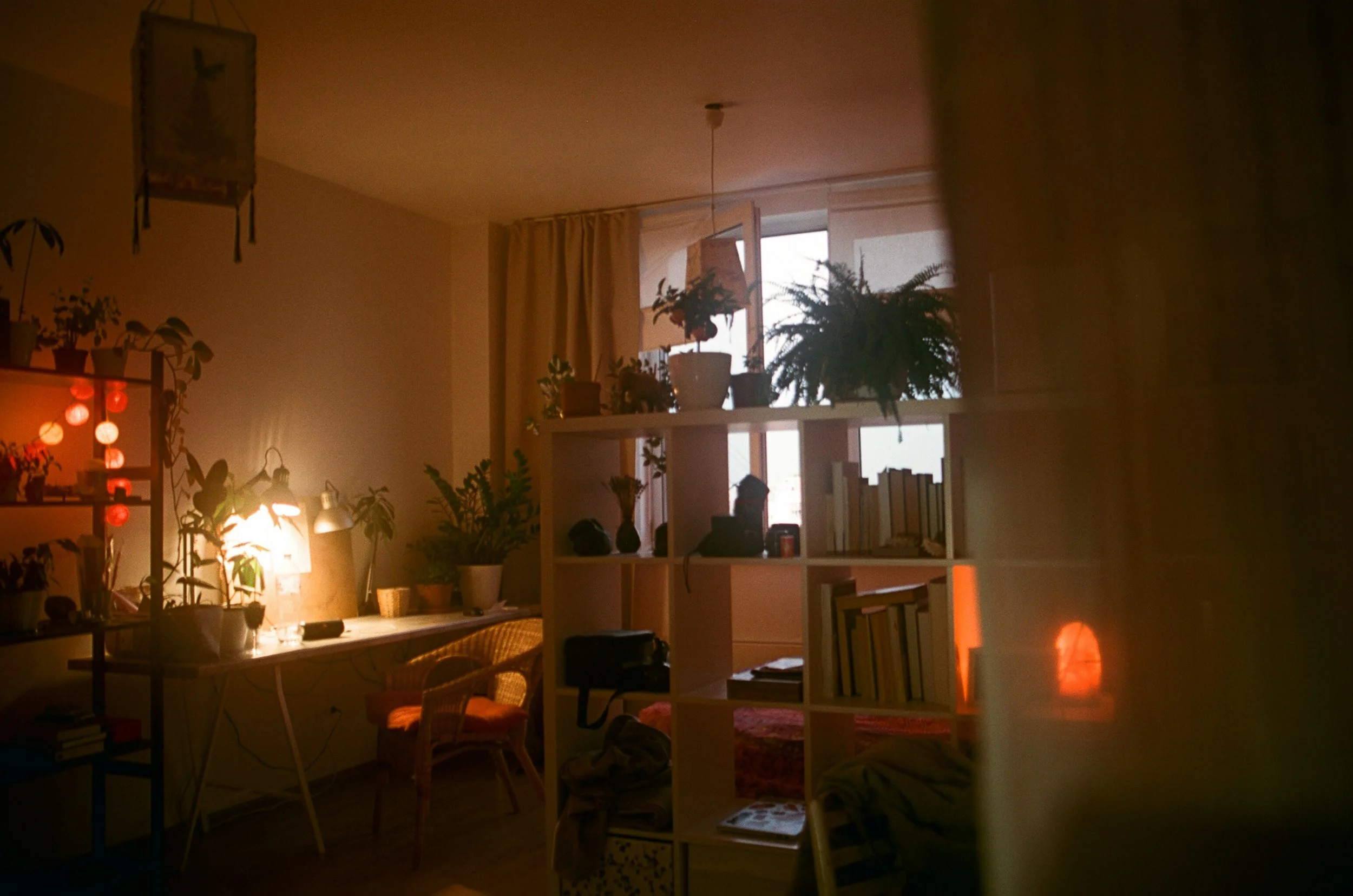 Warm cozy living space with plants and lamplight, evoking the grounded container of a coaching session