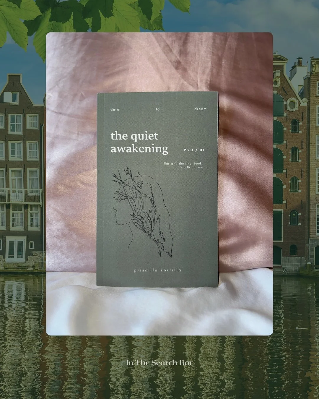 The Quiet Awakening Dare to Dream poetry book by Priscilla Zorrilla resting on a pink silk surface