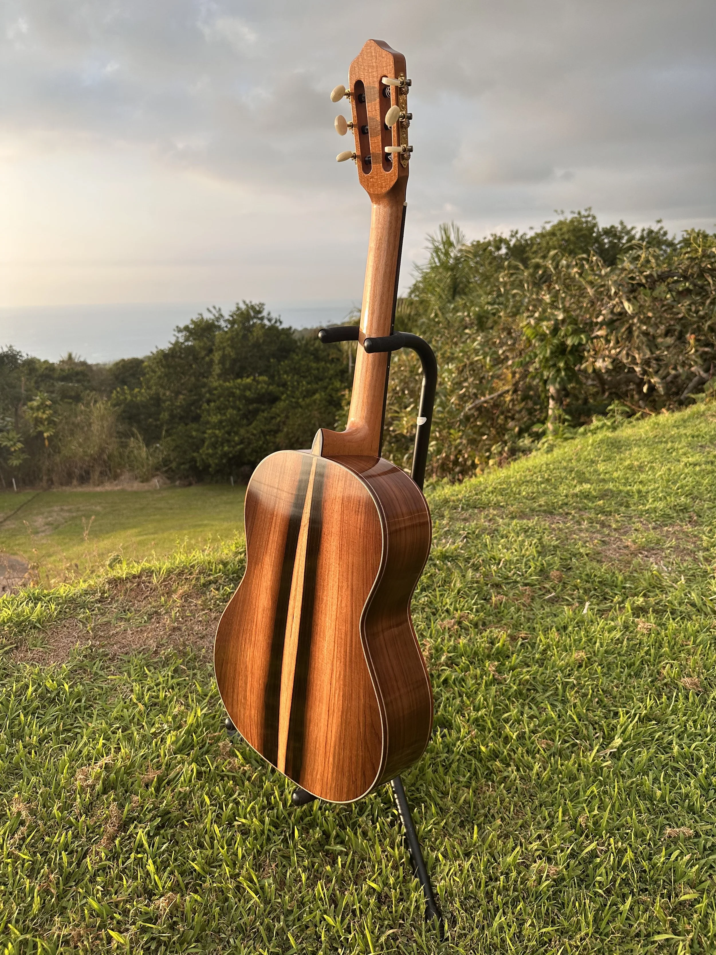 Rear three-quarter view of DeMers Guitar No. 17 in Hawaii, showing its back, sides, and center strip.