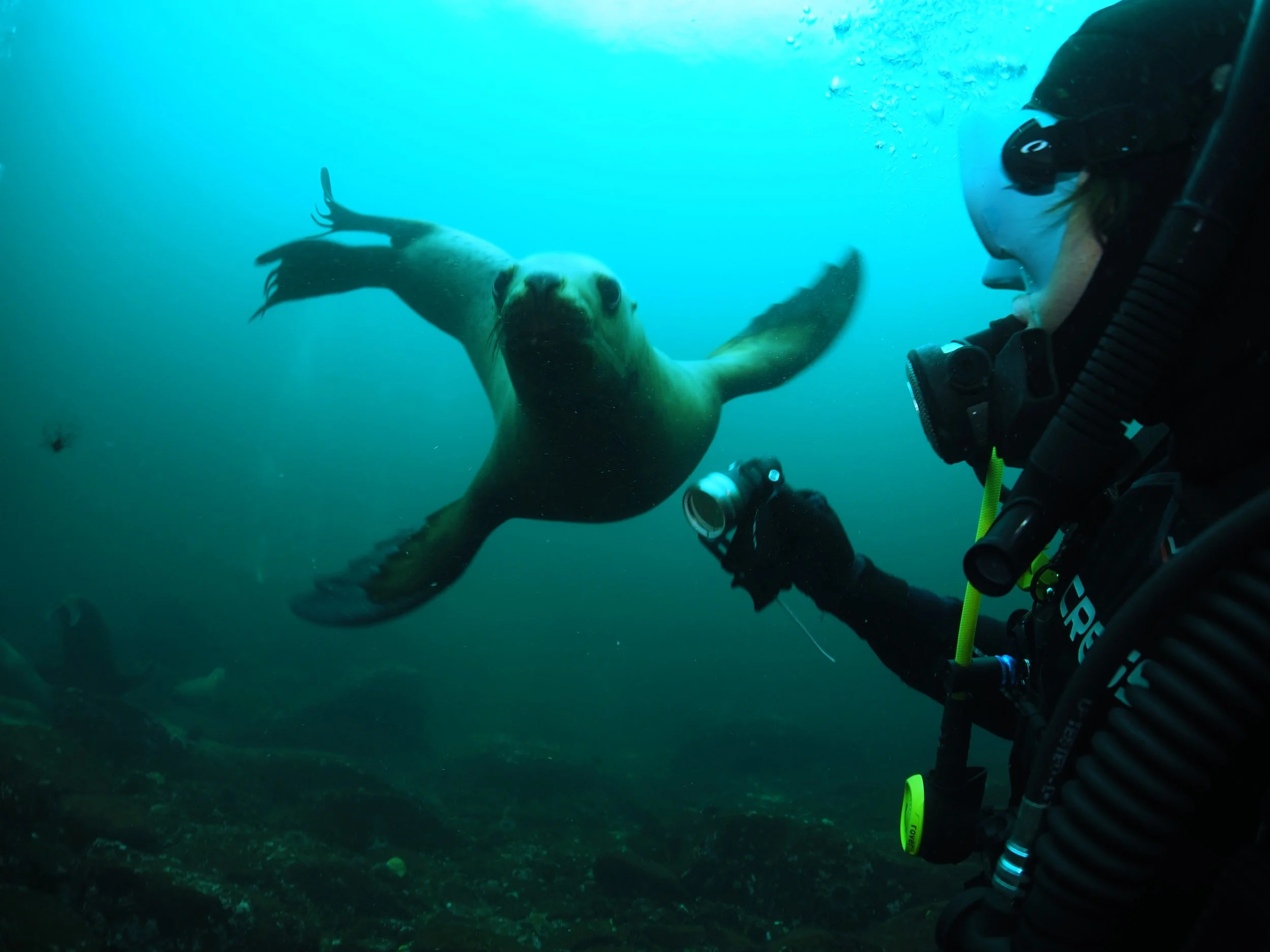 Vancouver Island, Canada