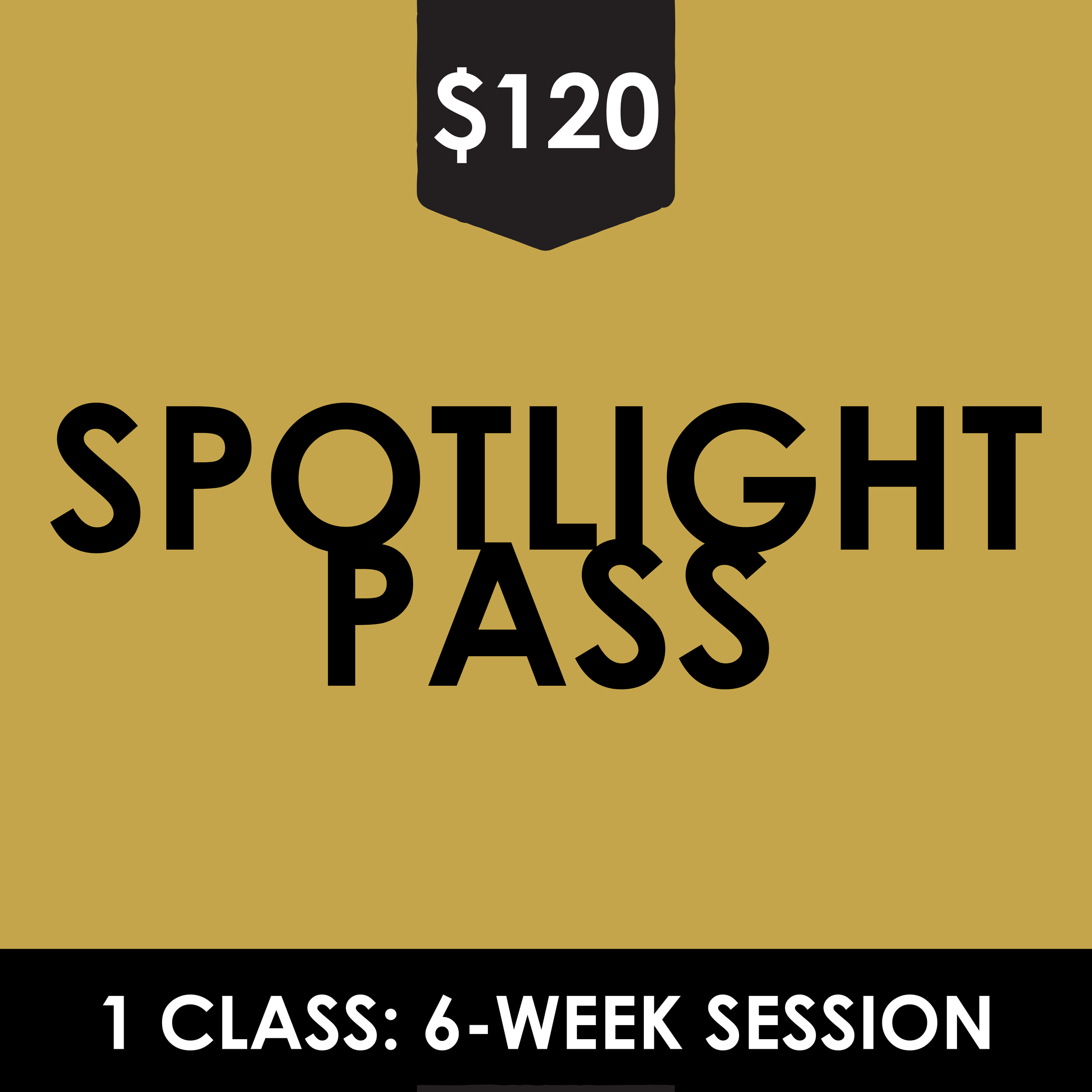 SPOTLIGHT PASS