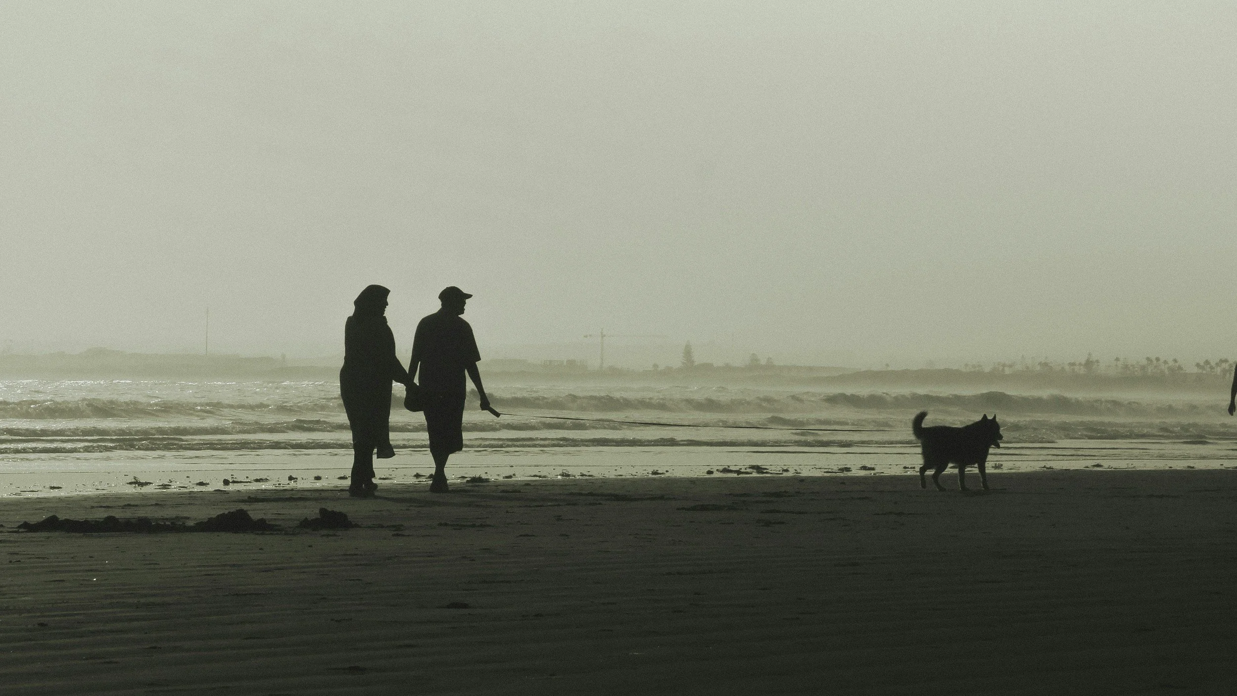 Dog sitting on a sandy beach with its owners walking behind