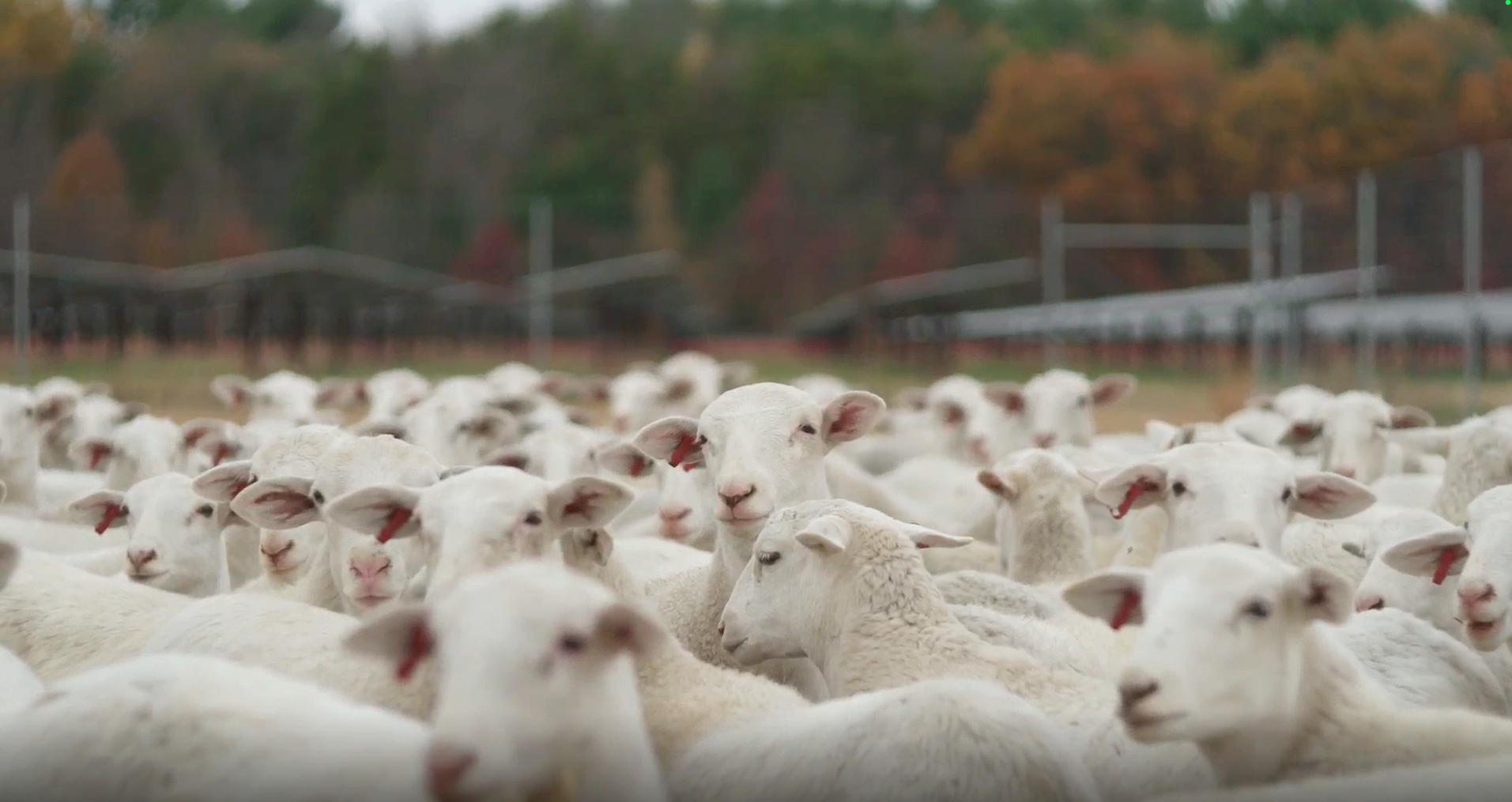 Screenshot 2025-10-23 at 1.37.22 PM.png