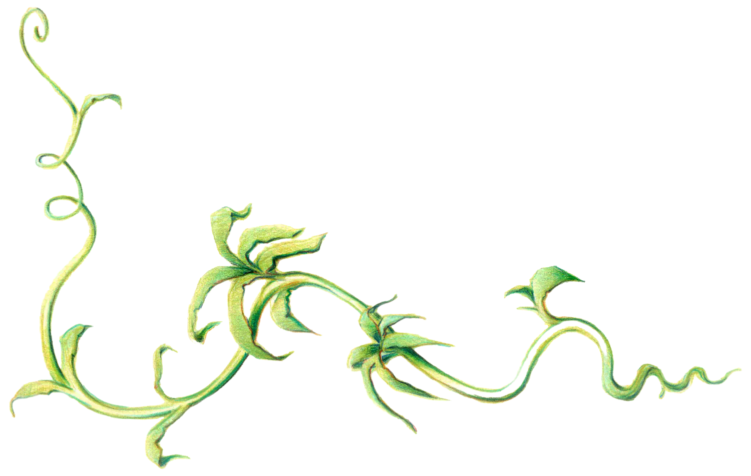 Carolina &amp; Juan Pablo