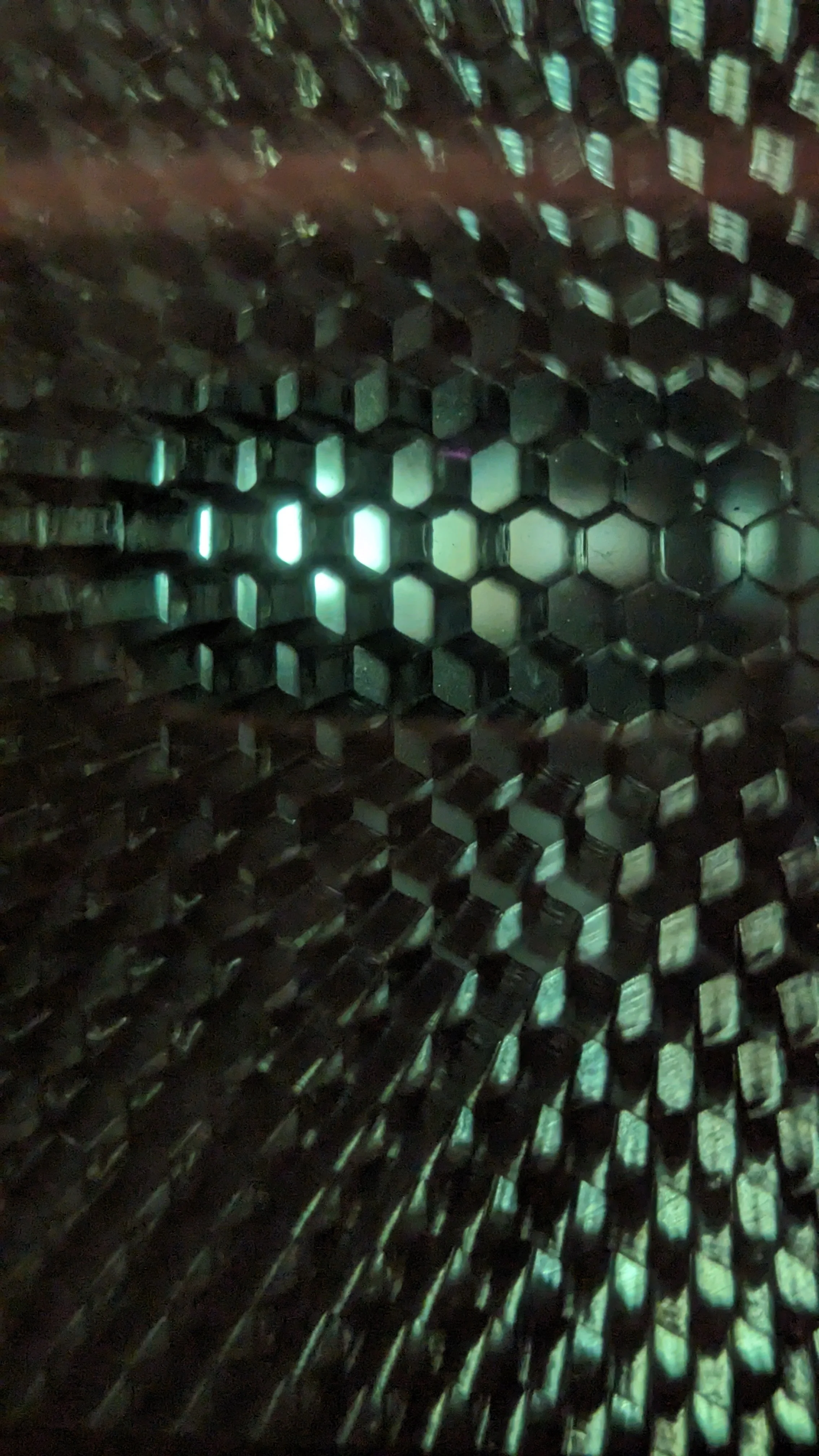 PXL_20240112_154403514.jpg