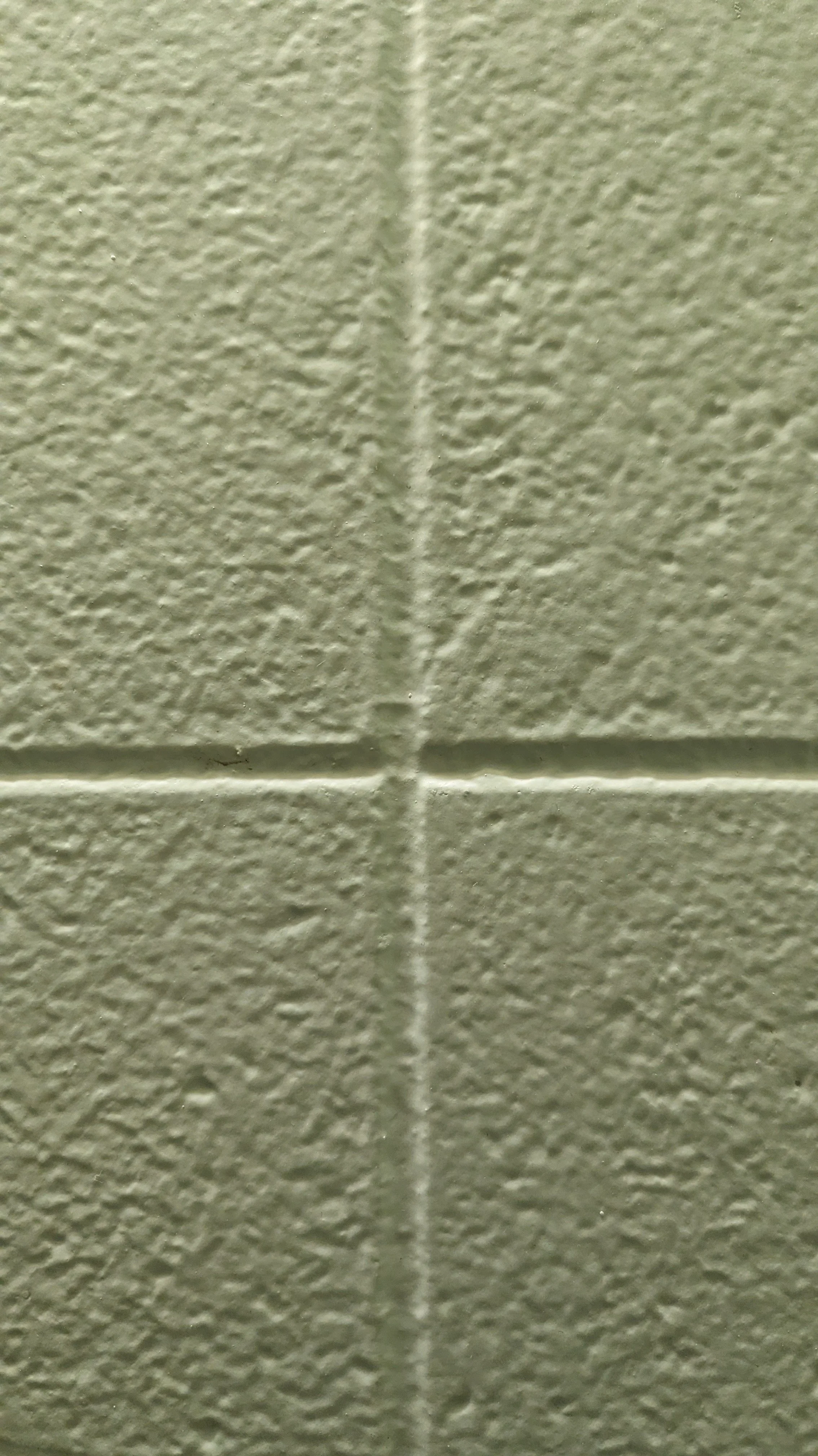 PXL_20240118_150402663.jpg