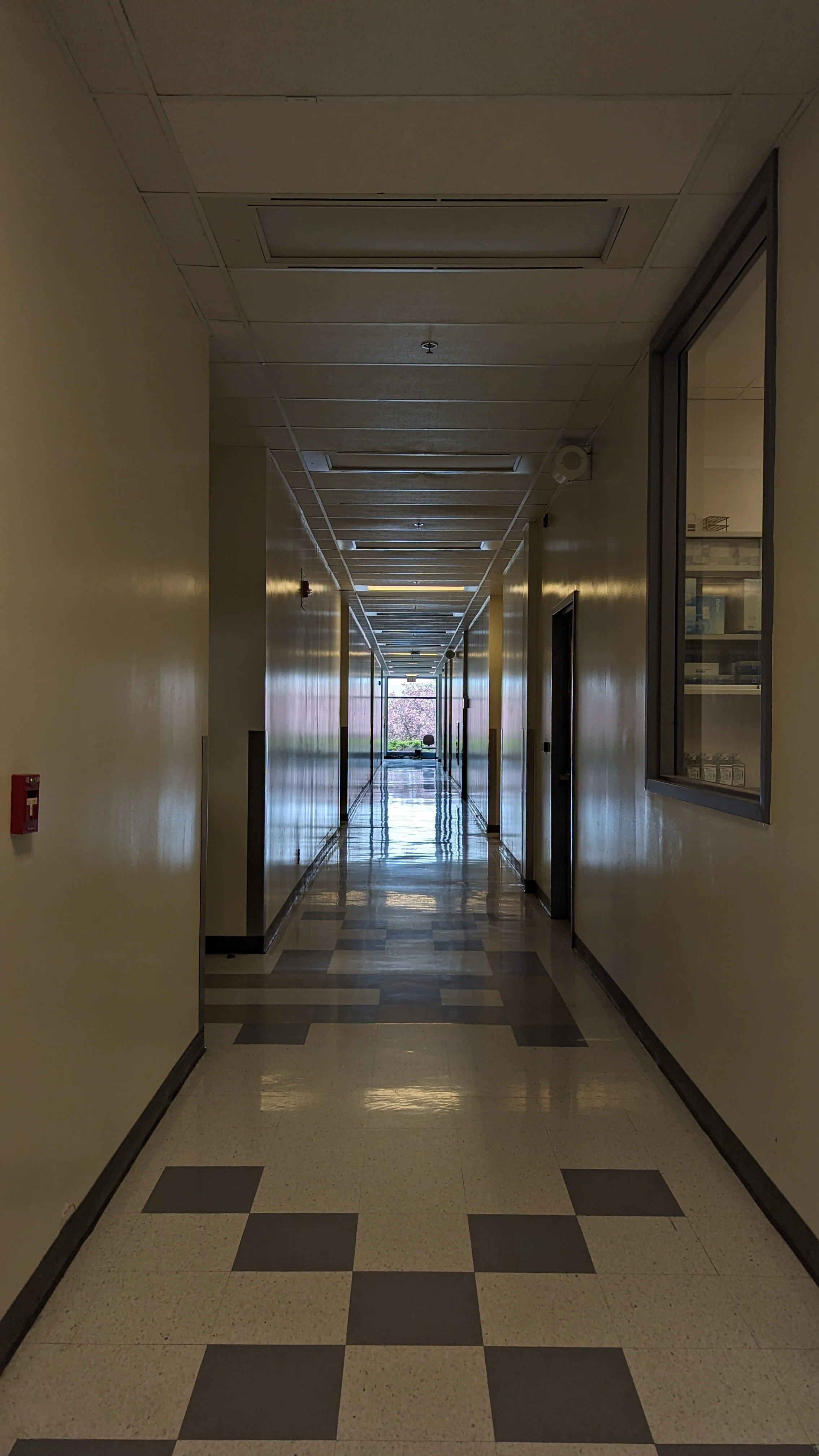 PXL_20240509_172251380.jpg