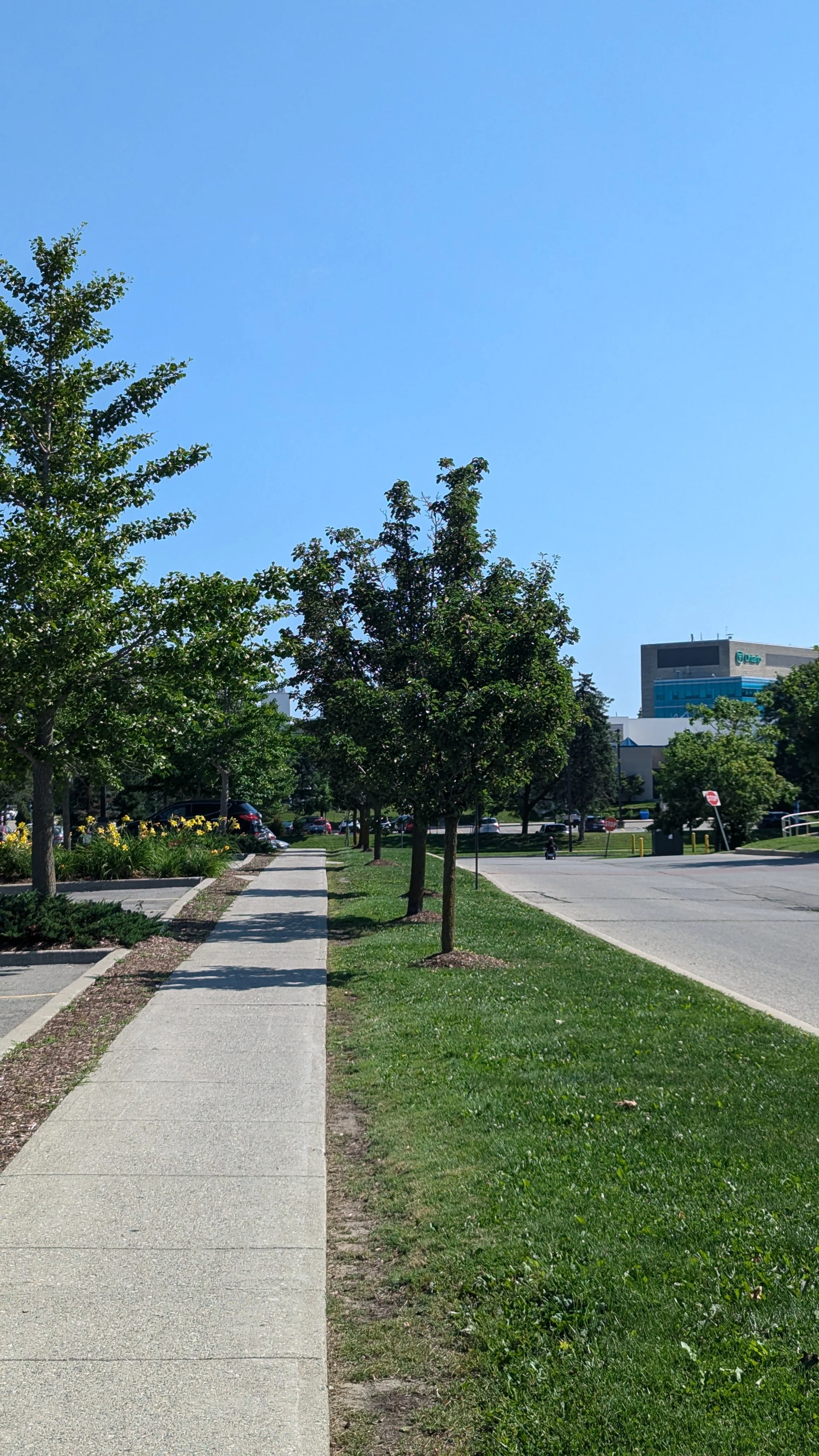 PXL_20240725_143432368.jpg