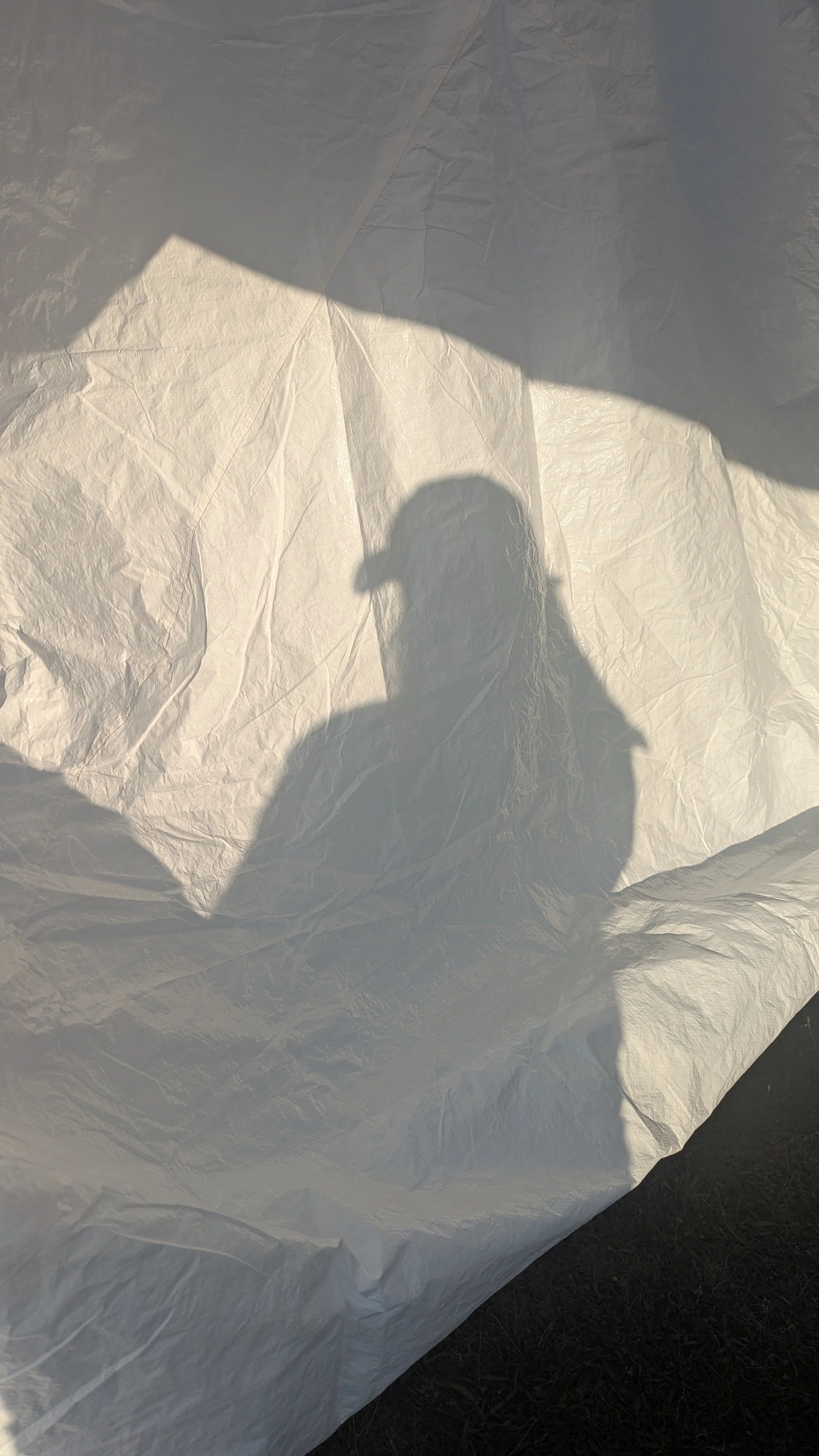 PXL_20250718_235113953.jpg