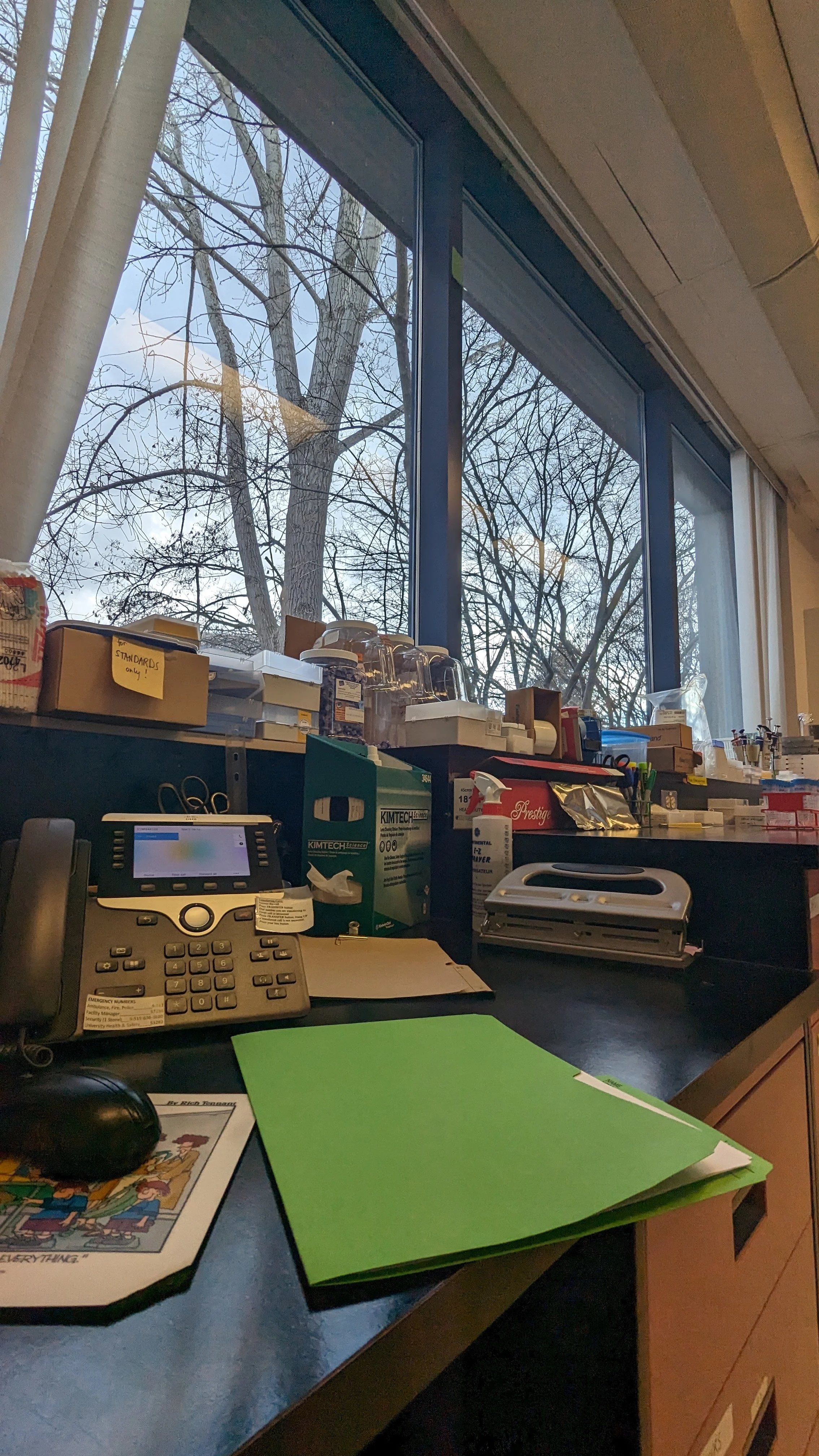 PXL_20240305_141503424.jpg