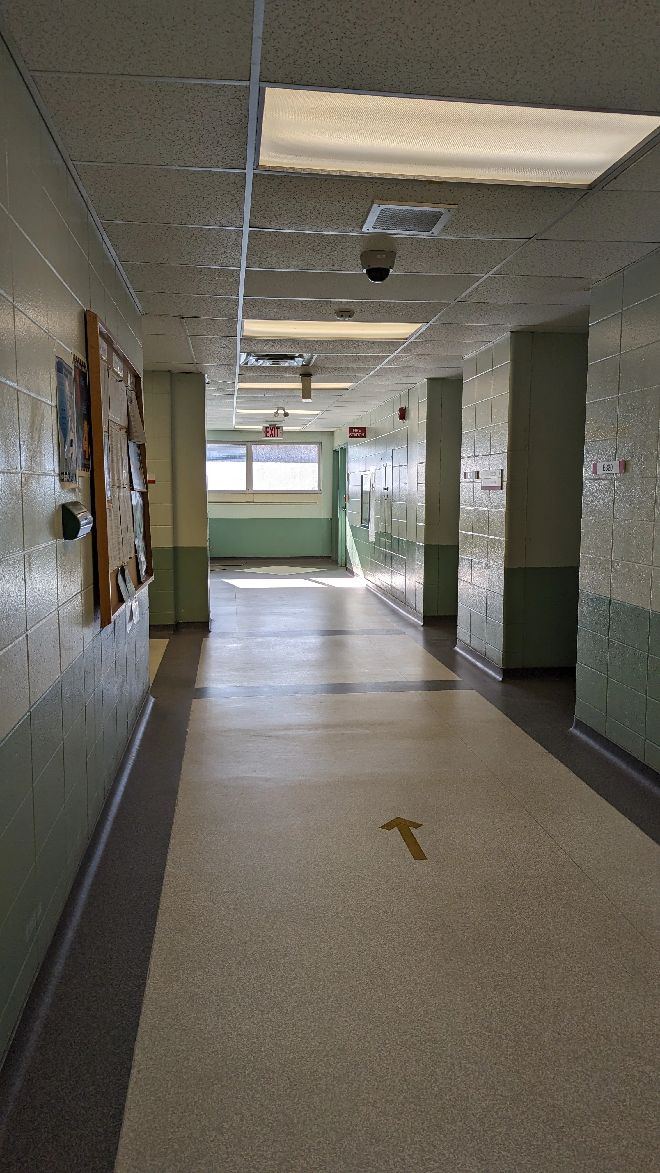 PXL_20240206_151751163.jpg