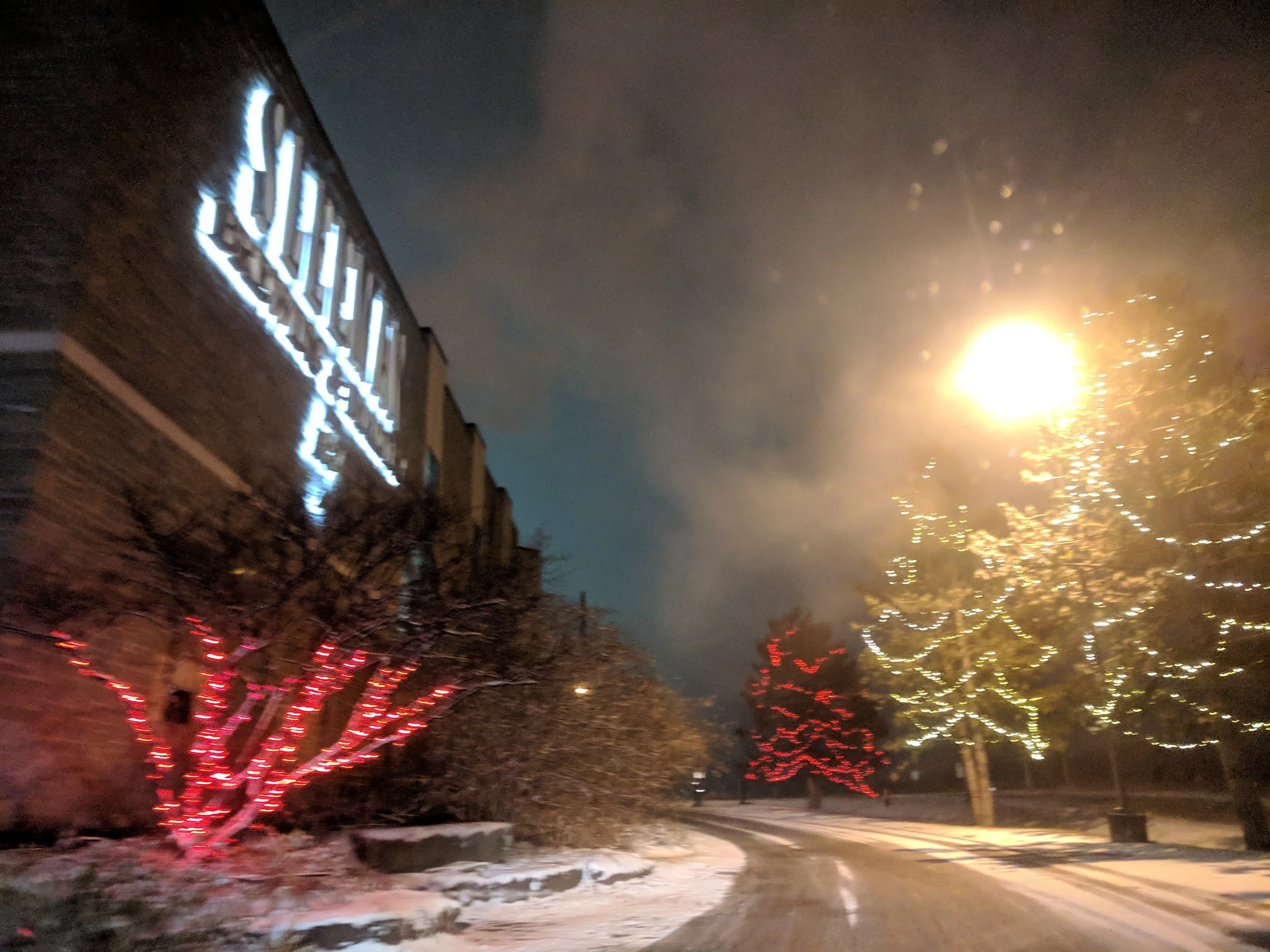IMG_20181213_060518.jpg