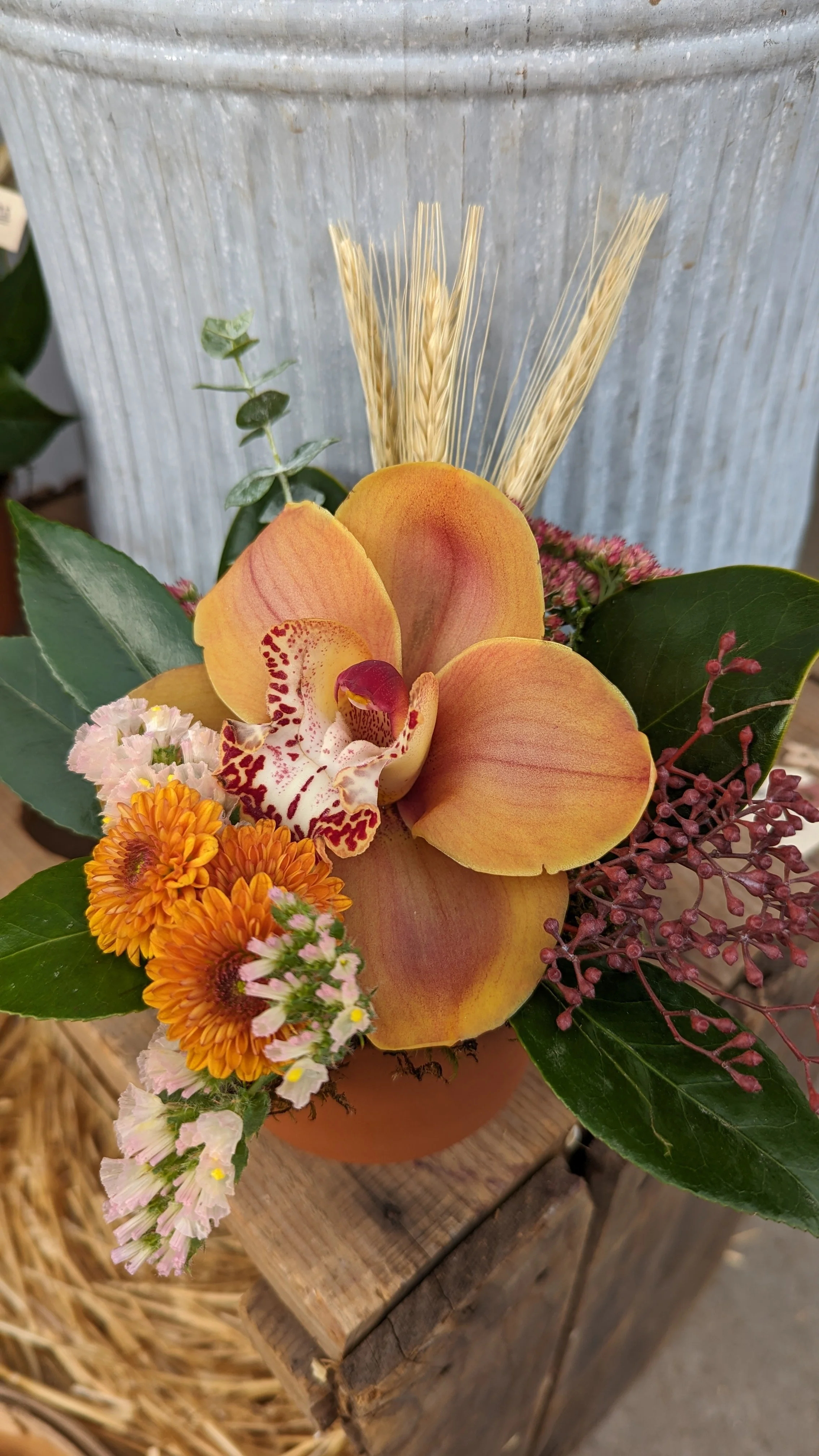 PXL_20230928_141421122.jpg