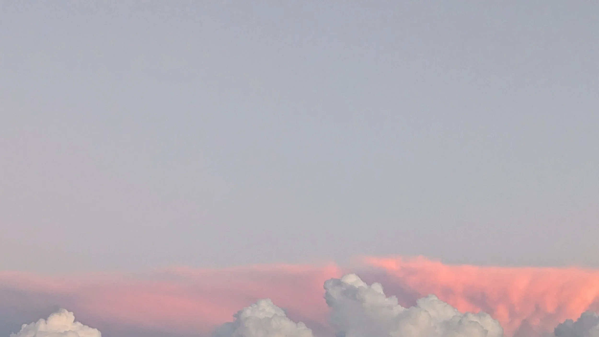 PXL_20230813_003857052~3 (1).jpg