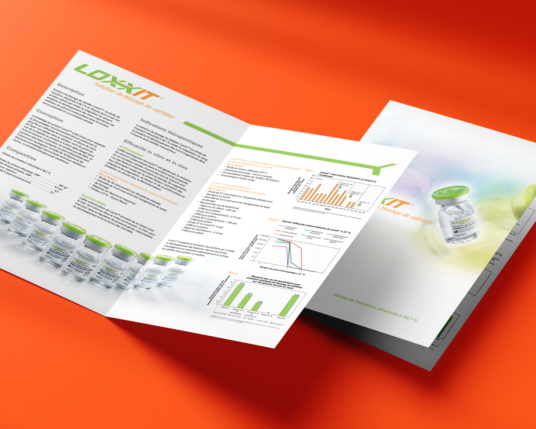 LOXXIT: Branding & Brochure