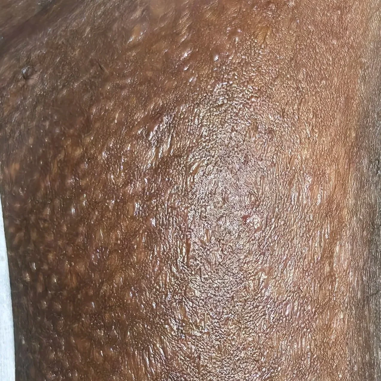 20250312_105503.jpg