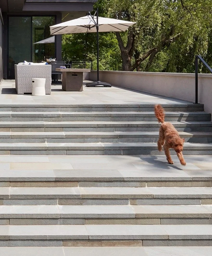 A backyard patio with stairs leading up to a deck, featuring outdoor furniture, umbrellas, and trees in the background. A brown dog is running down the stairs.
