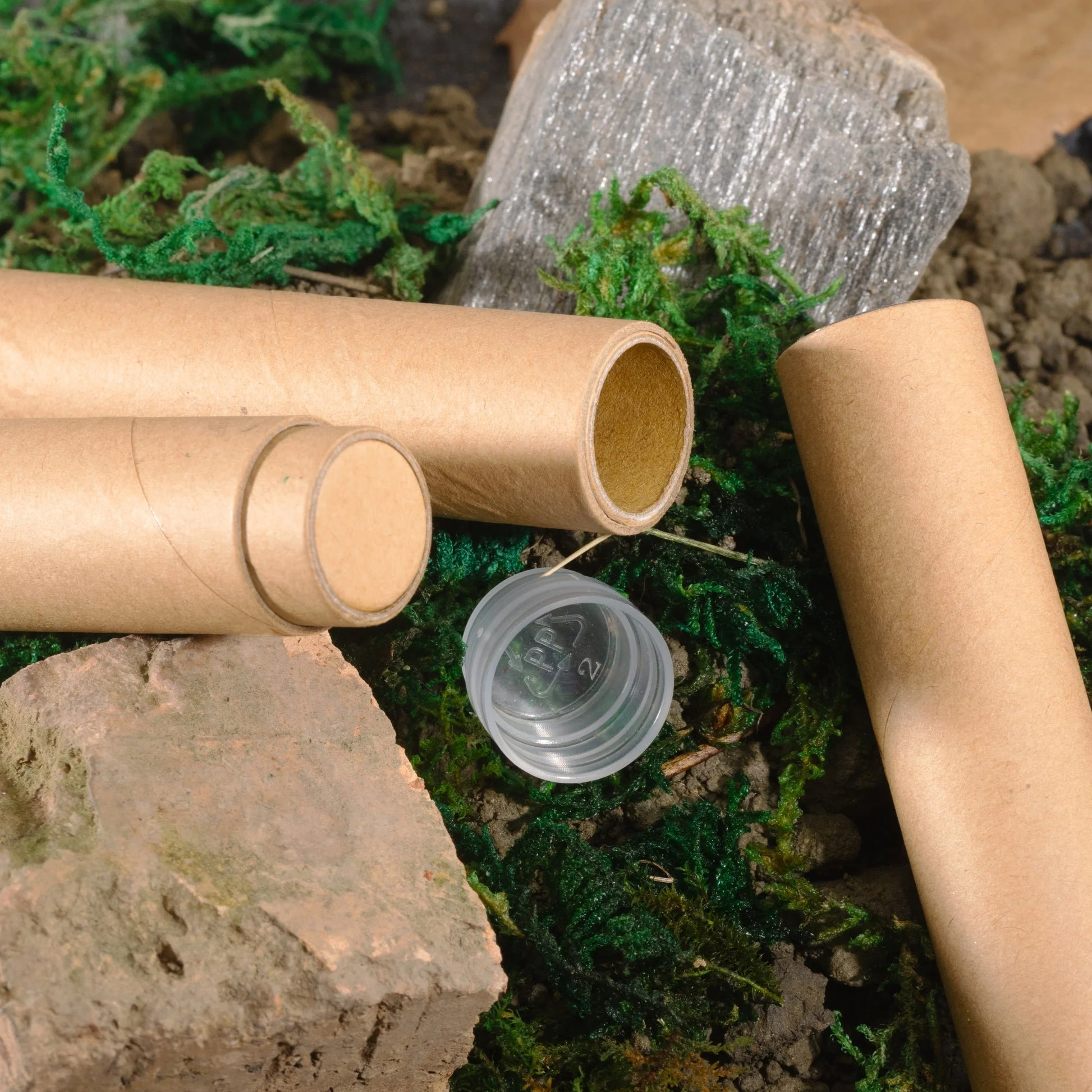 Close-up of some empty cardboard tubes arranged on a natural surface with moss, a rock, and soil.