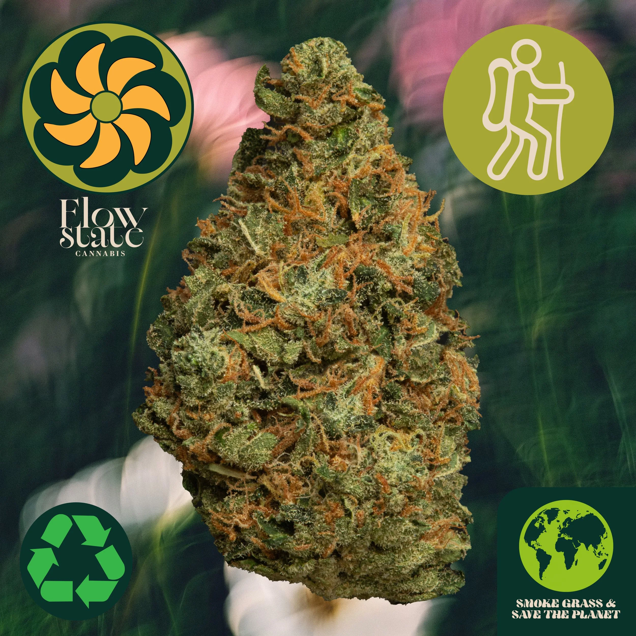 Sour Haze
