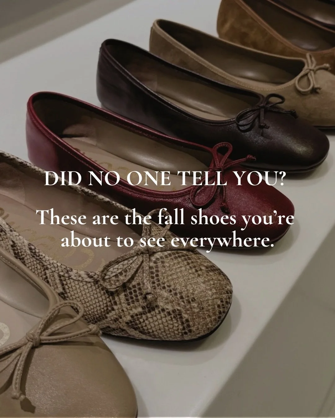 Did no one tell you?

These are the fall shoes you&rsquo;re about to see everywhere.

Consider this your official fall shoe forecast.
Comment FALL for my picks.

✨ Pointed-toe pumps + kitten heels
✨ Timeless loafers
✨ Suede Mary Janes
✨ Animal print
